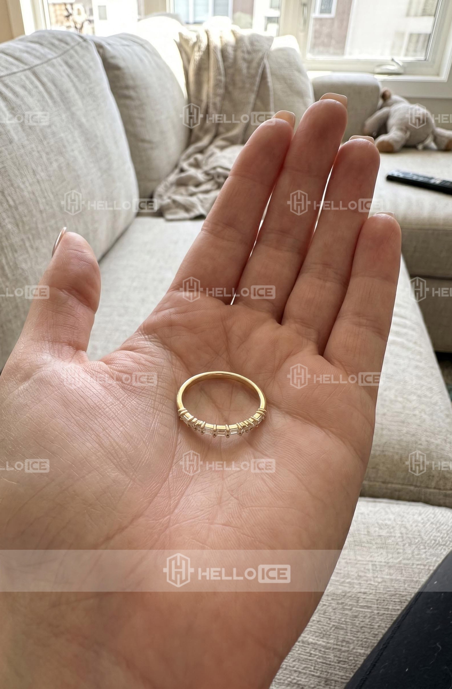 Helloice Review Image