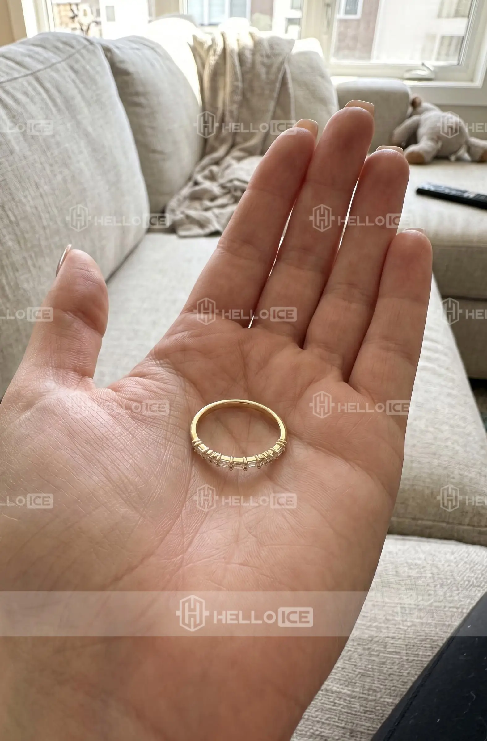 Helloice Review Image
