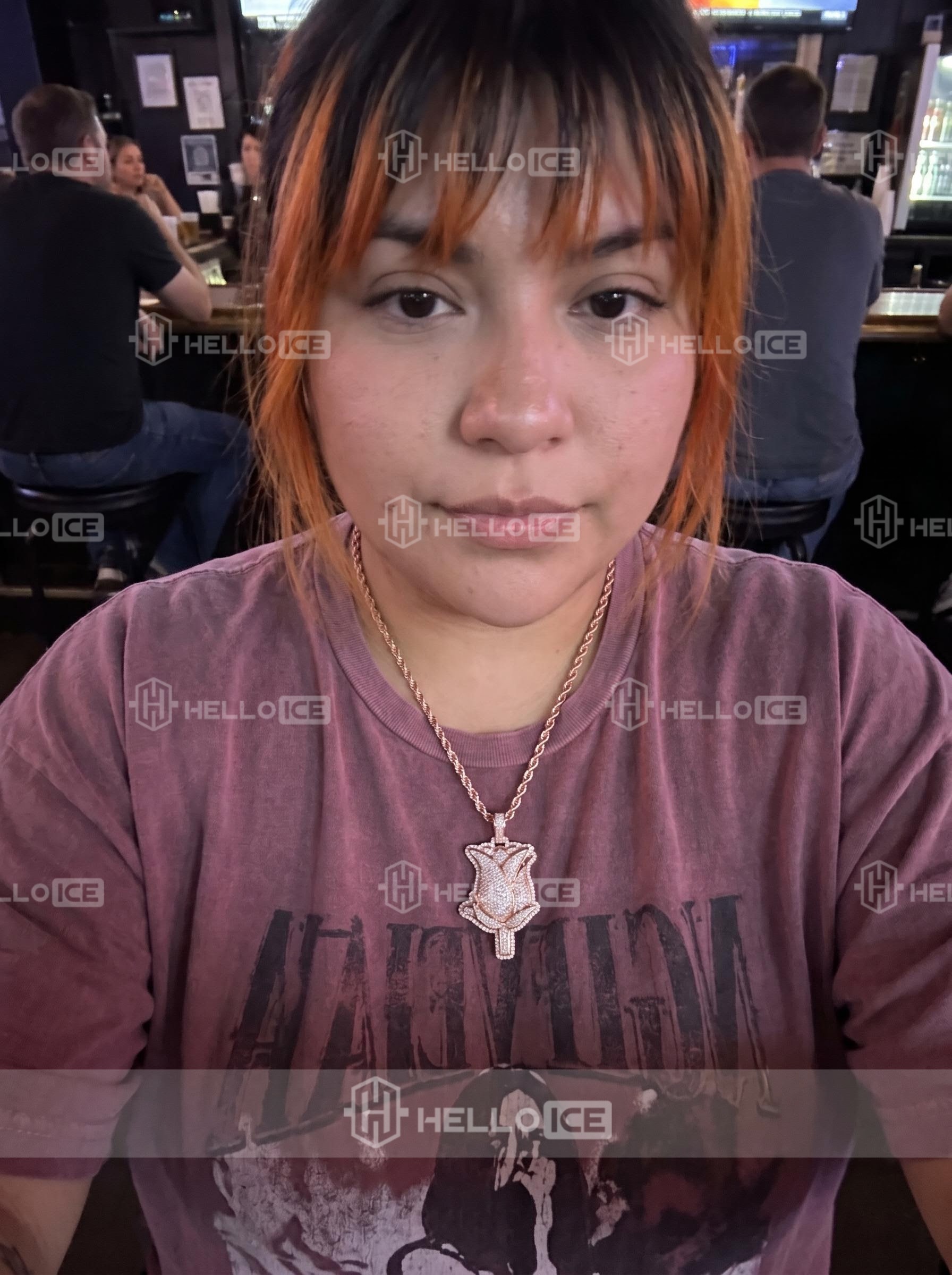 Helloice Review Image