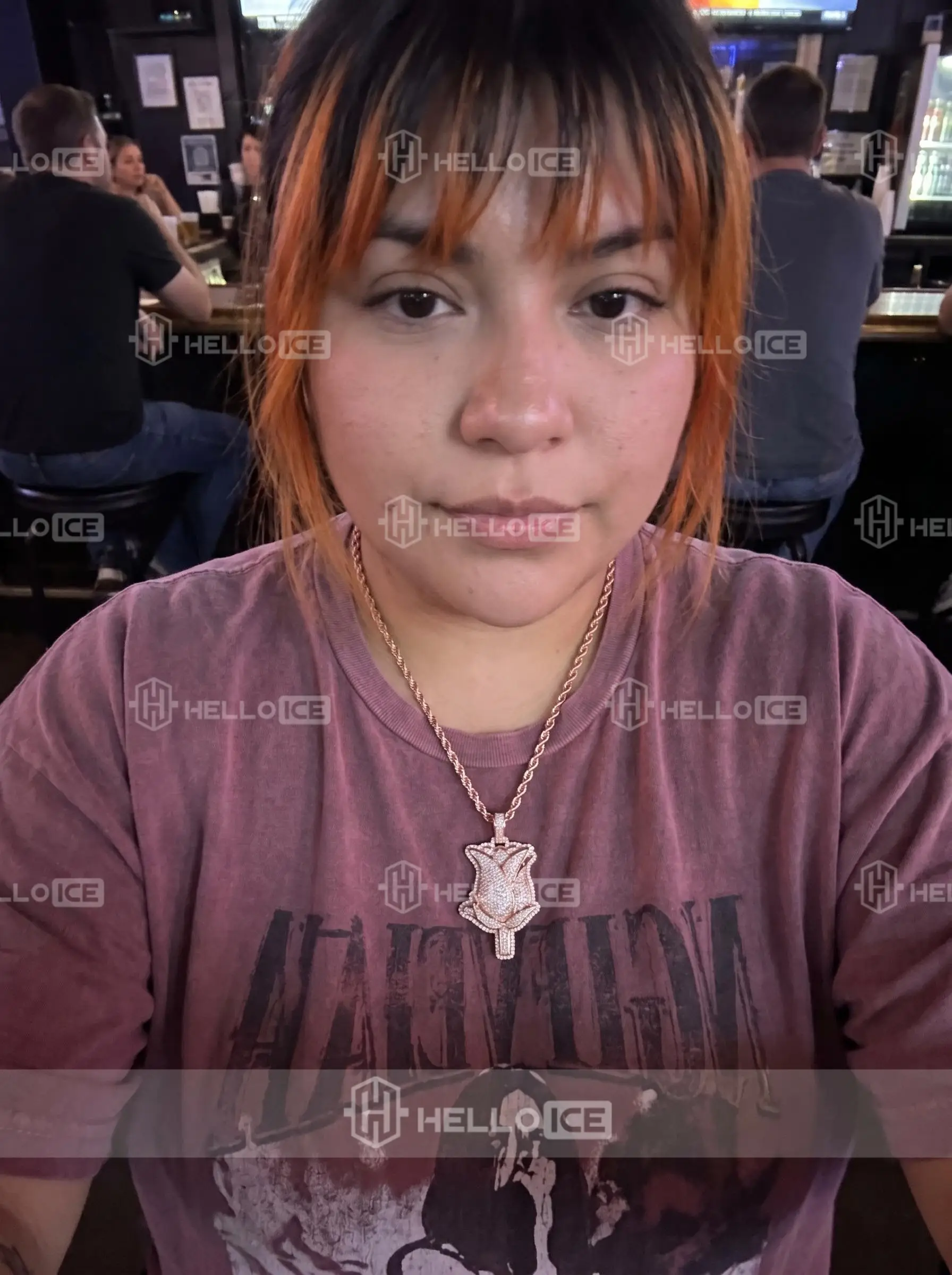 Helloice Review Image
