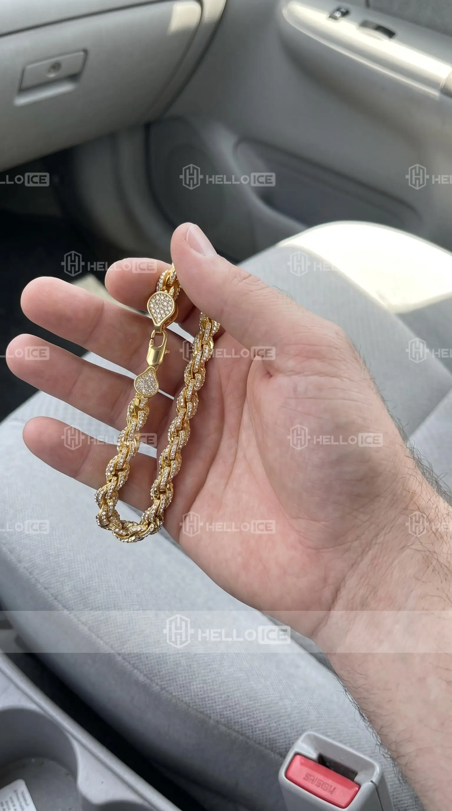 Helloice Review Image