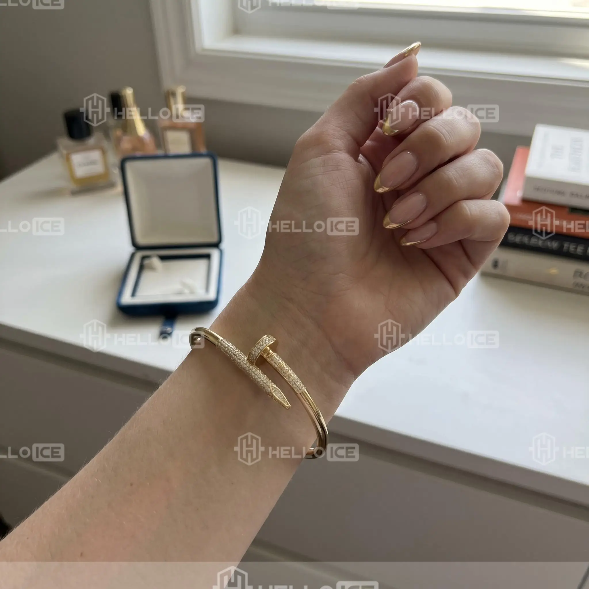 Helloice Review Image