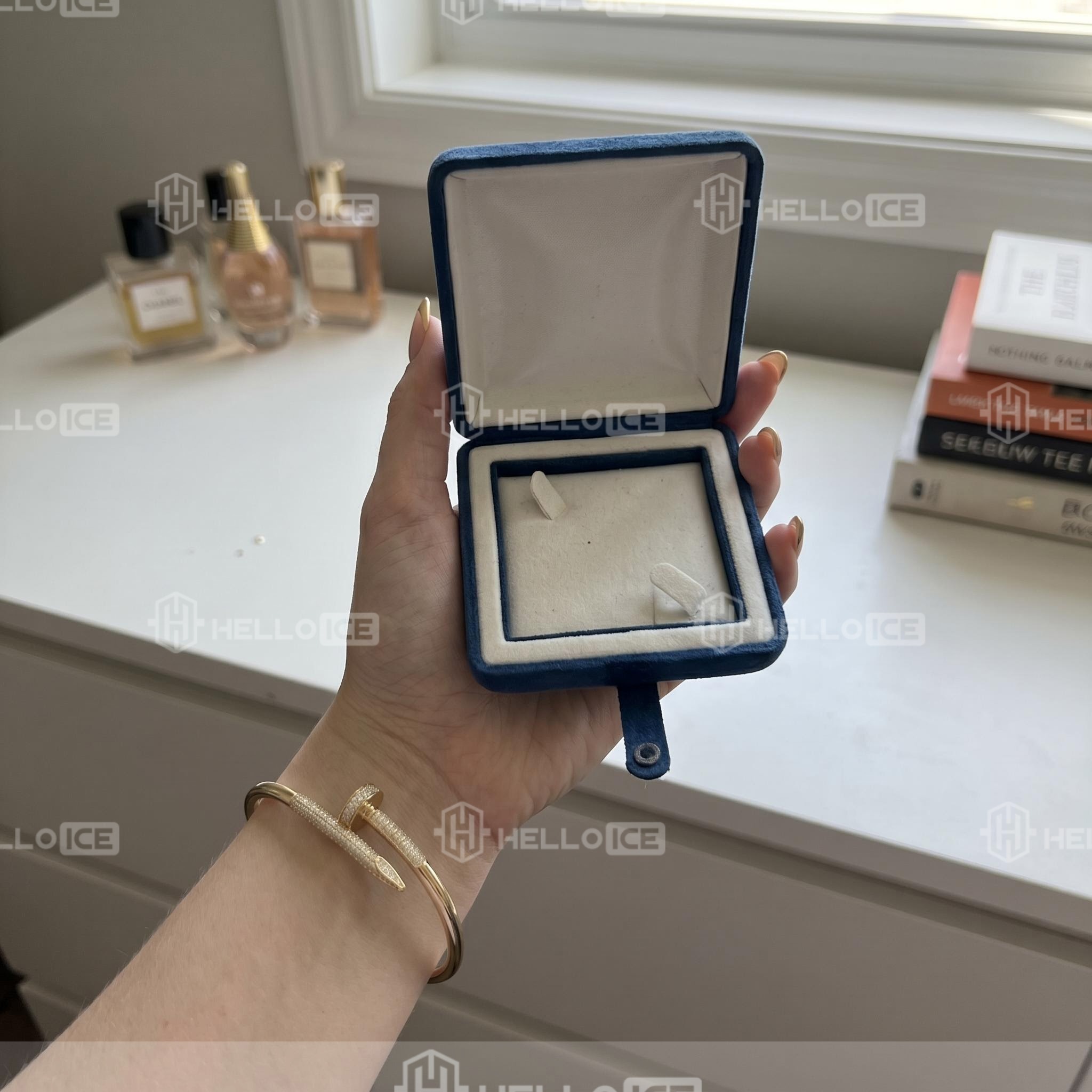 Helloice Review Image