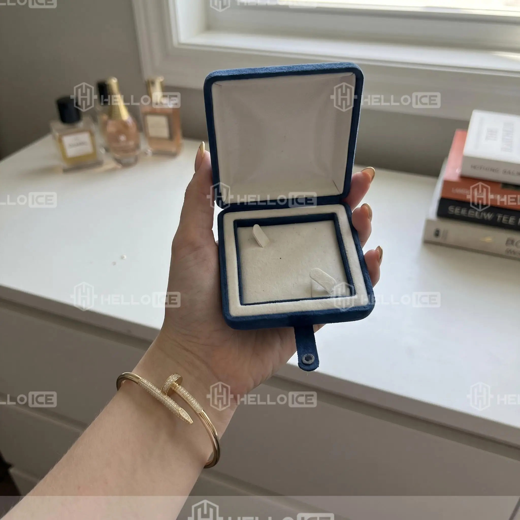 Helloice Review Image