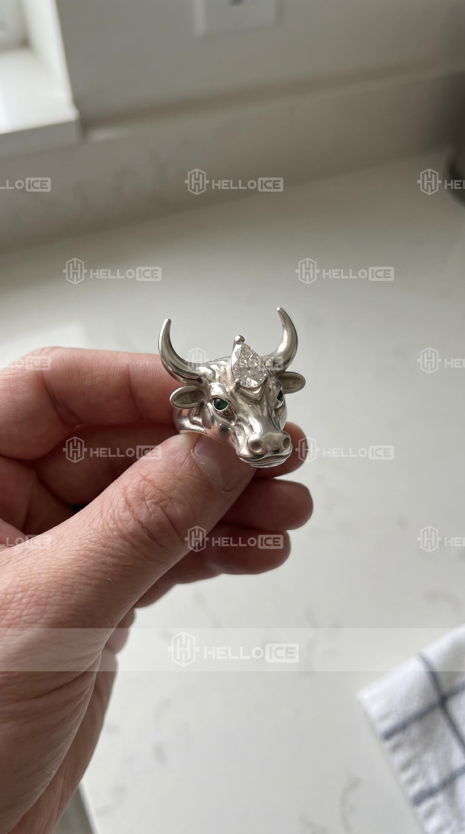 Helloice Review Image