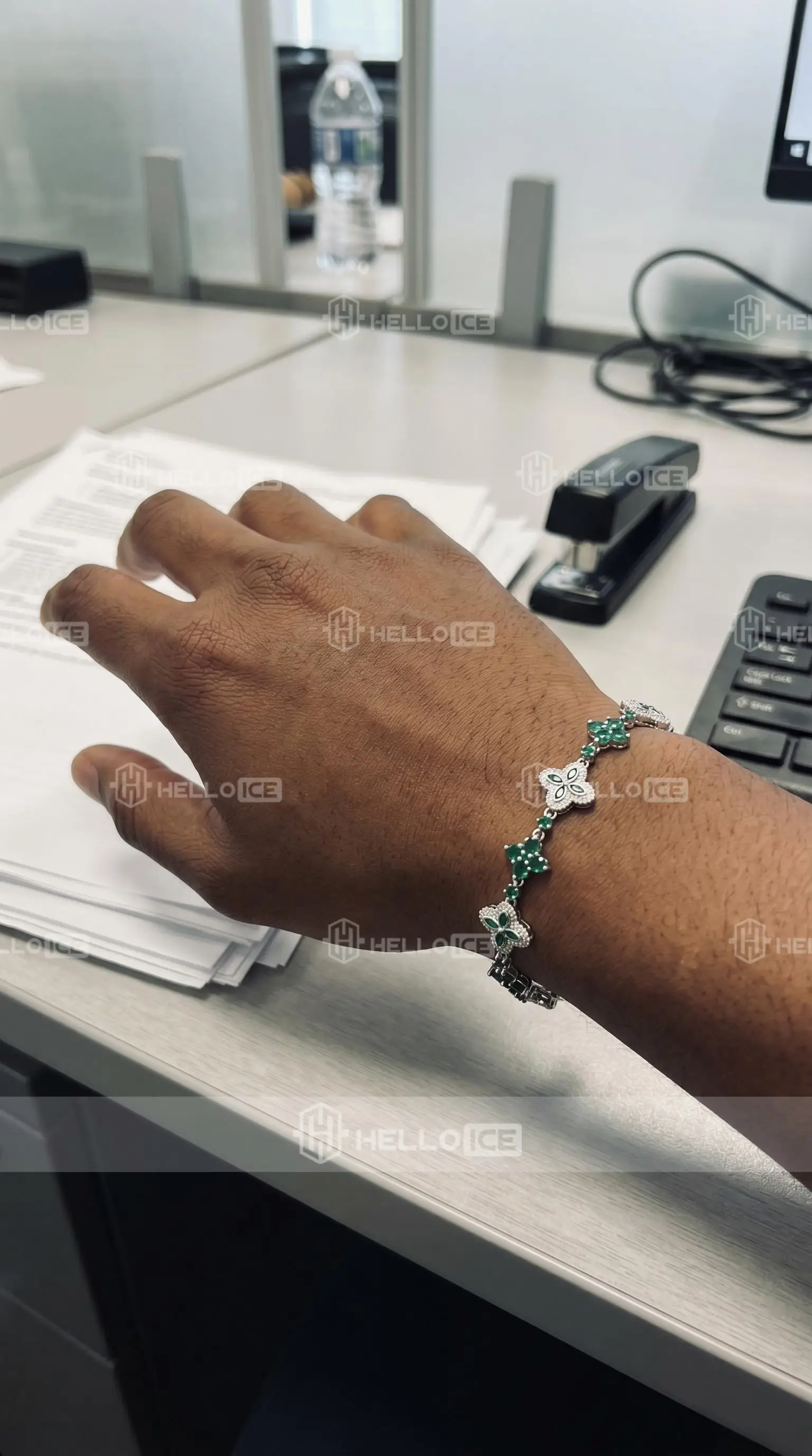 Helloice Review Image