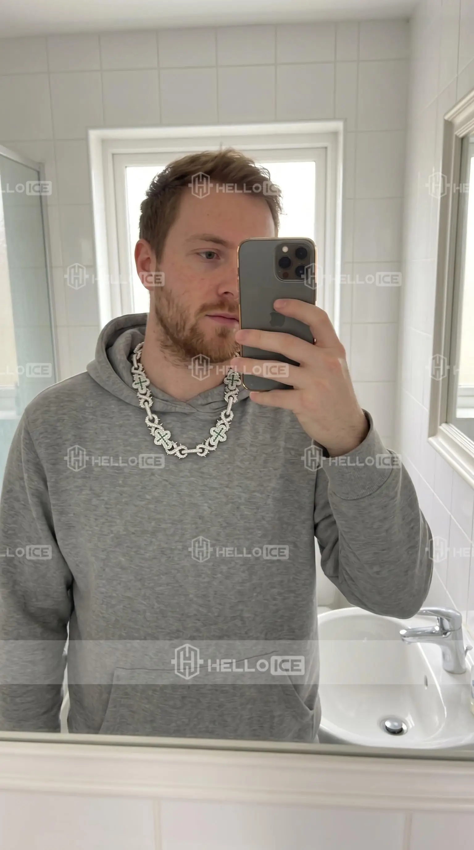 Helloice Review Image
