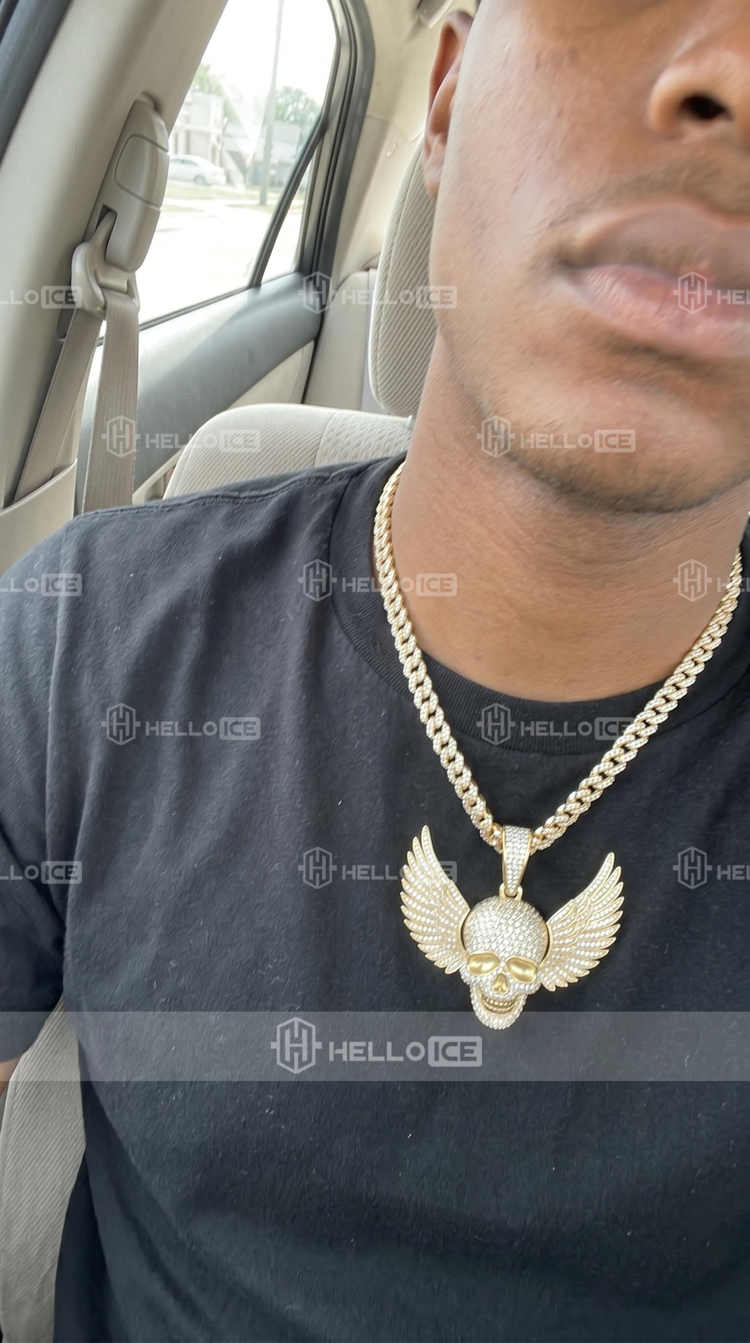 Helloice Review Image