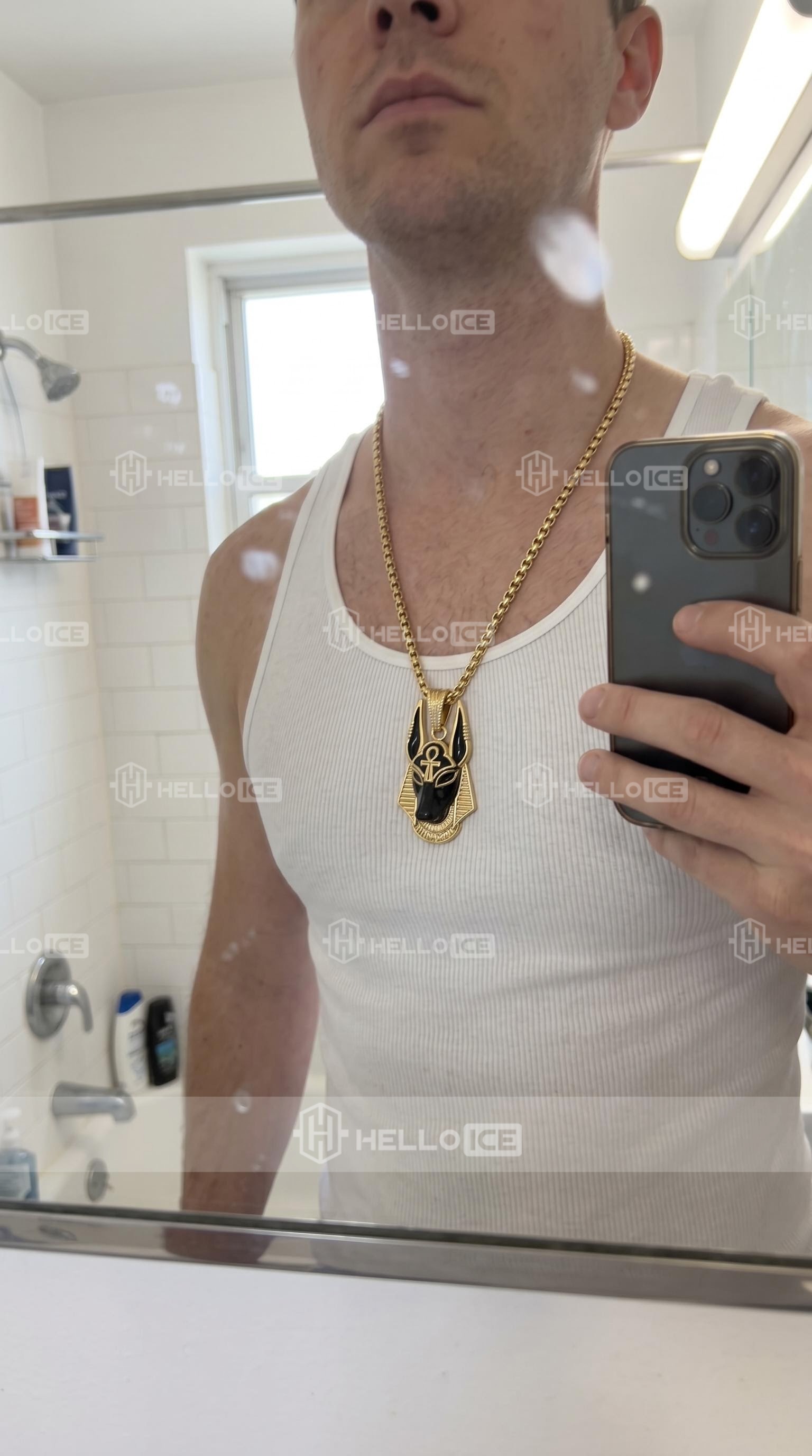 Helloice Review Image