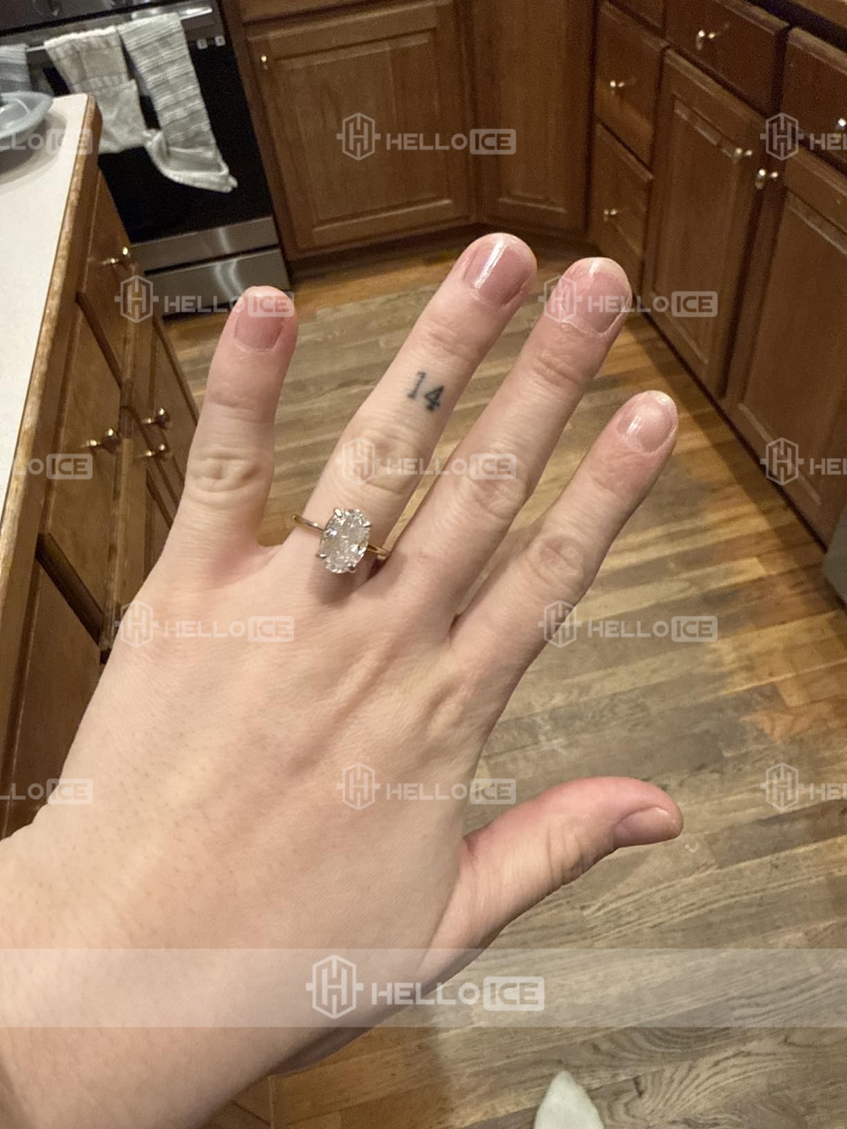 Helloice Review Image