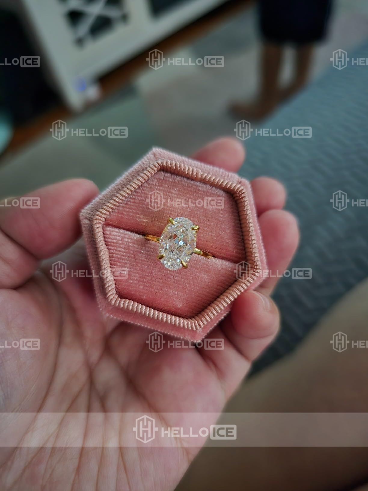 Helloice Review Image
