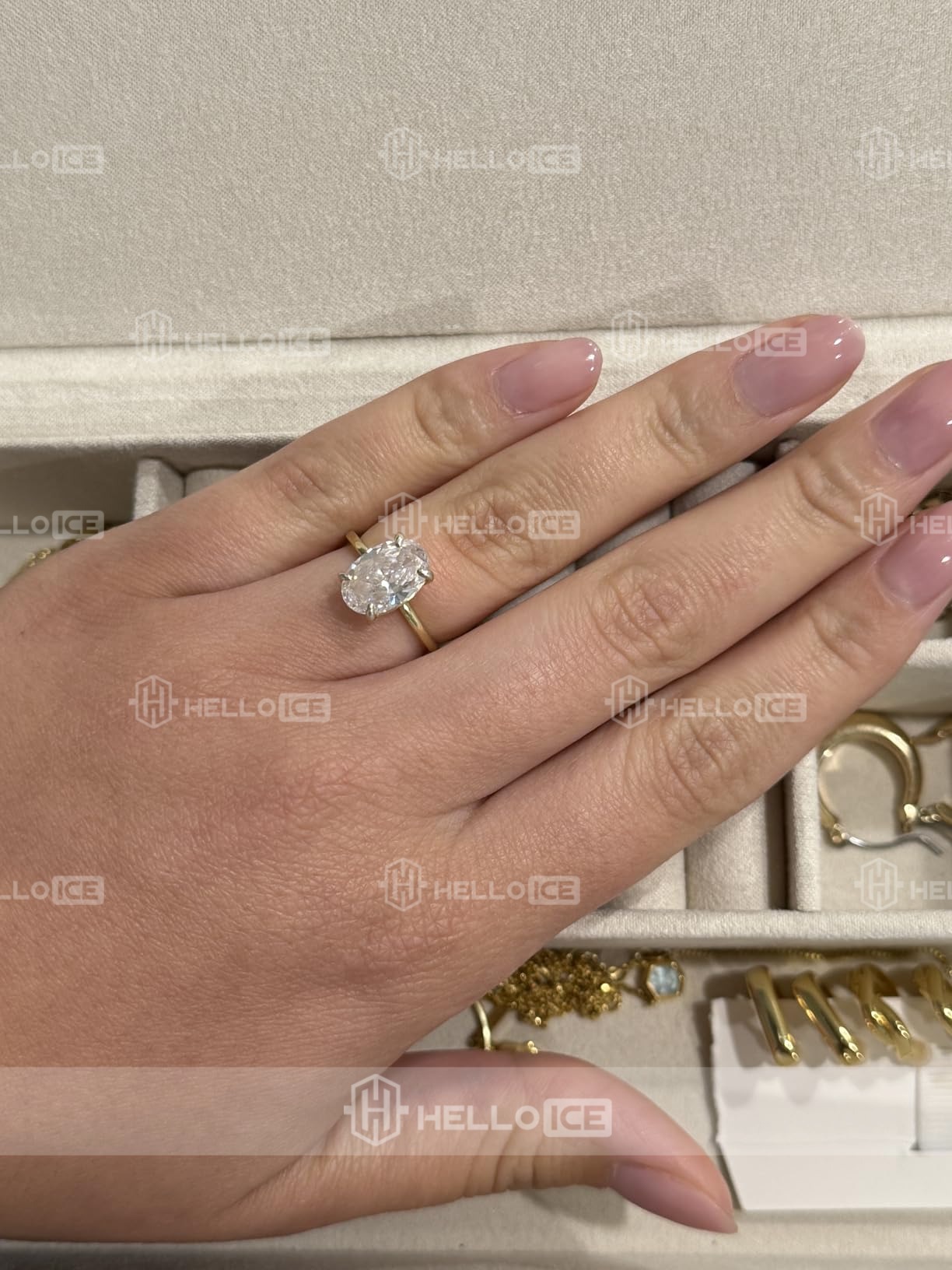 Helloice Review Image