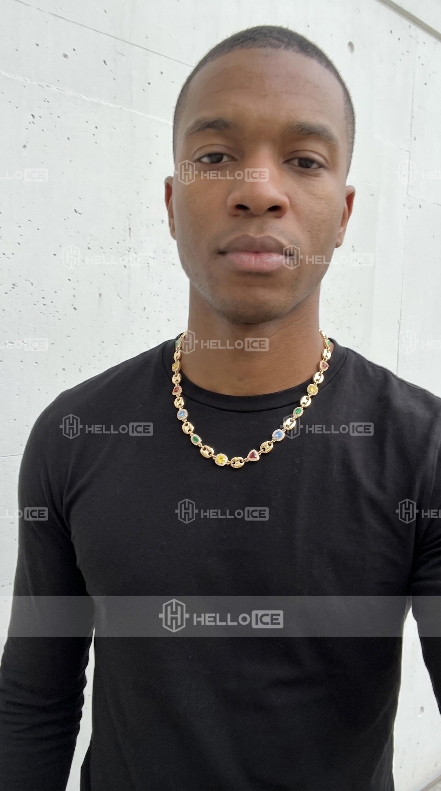 Helloice Review Image
