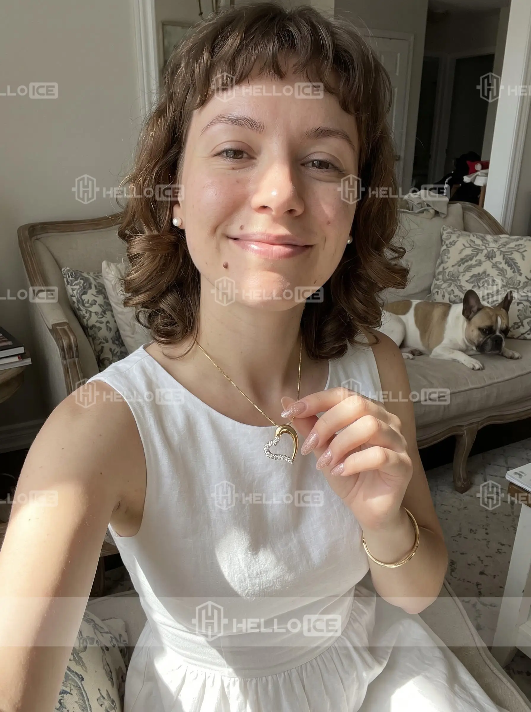 Helloice Review Image
