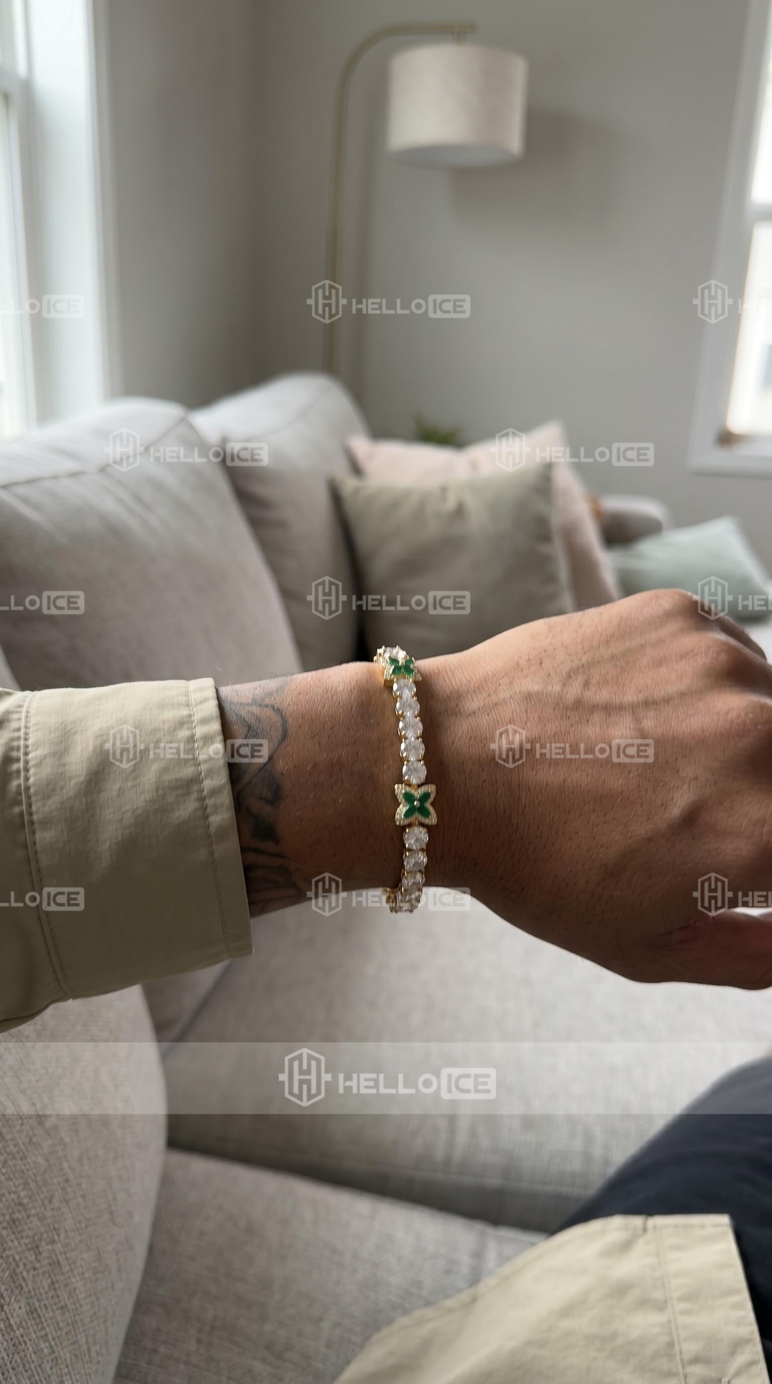 Helloice Review Image