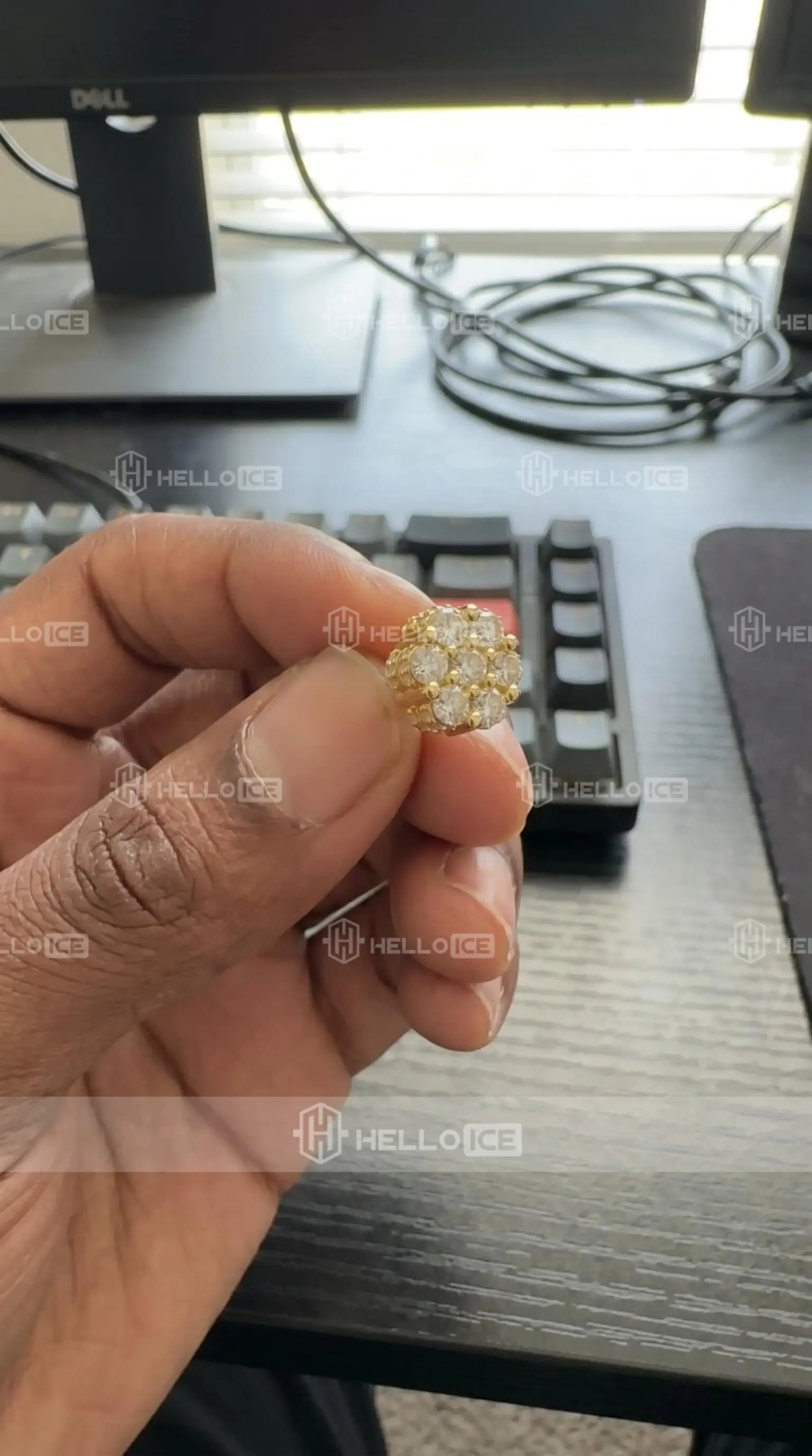 Helloice Review Image