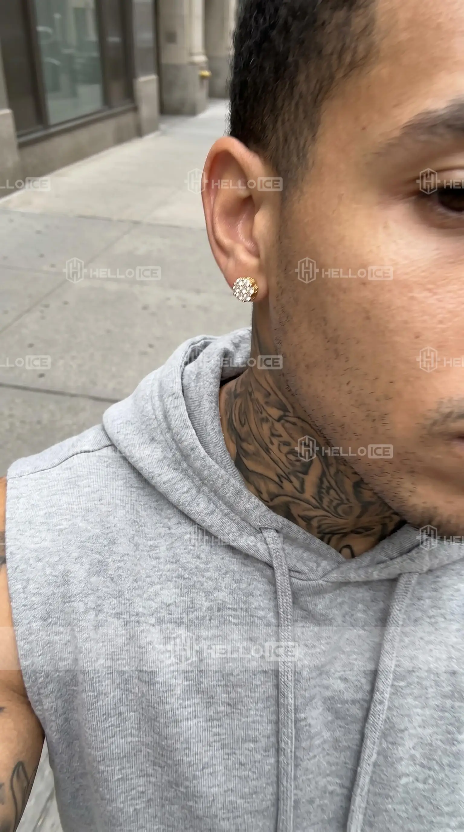 Helloice Review Image