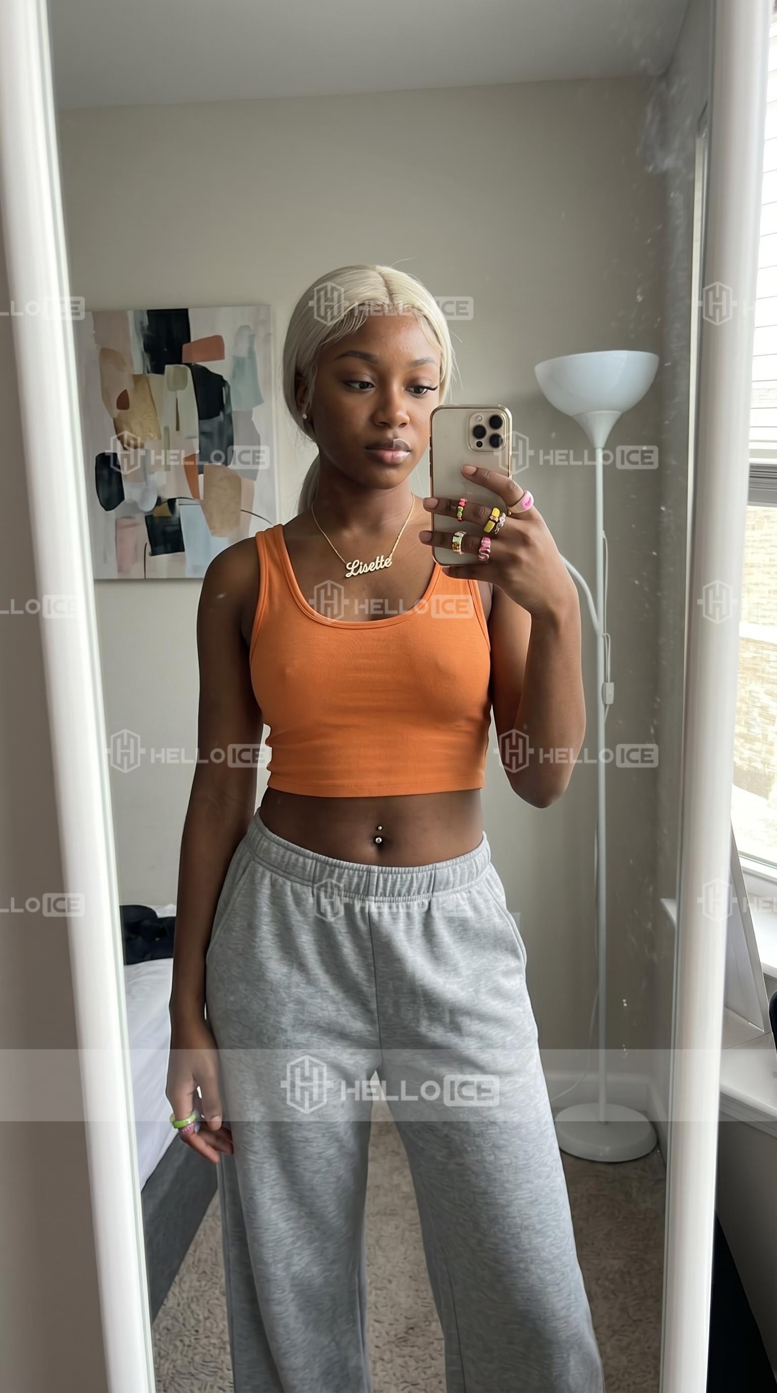 Helloice Review Image