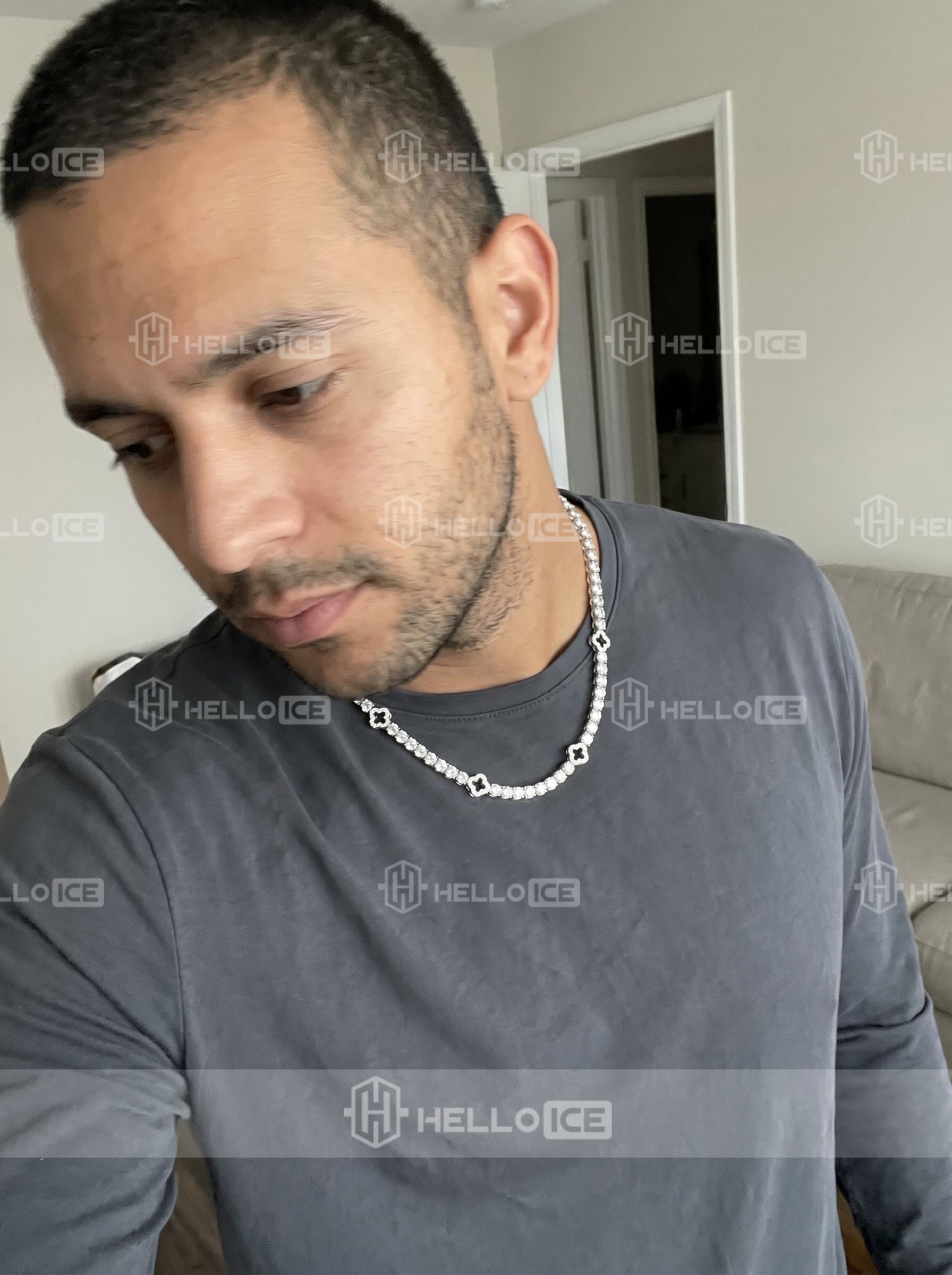 Helloice Review Image