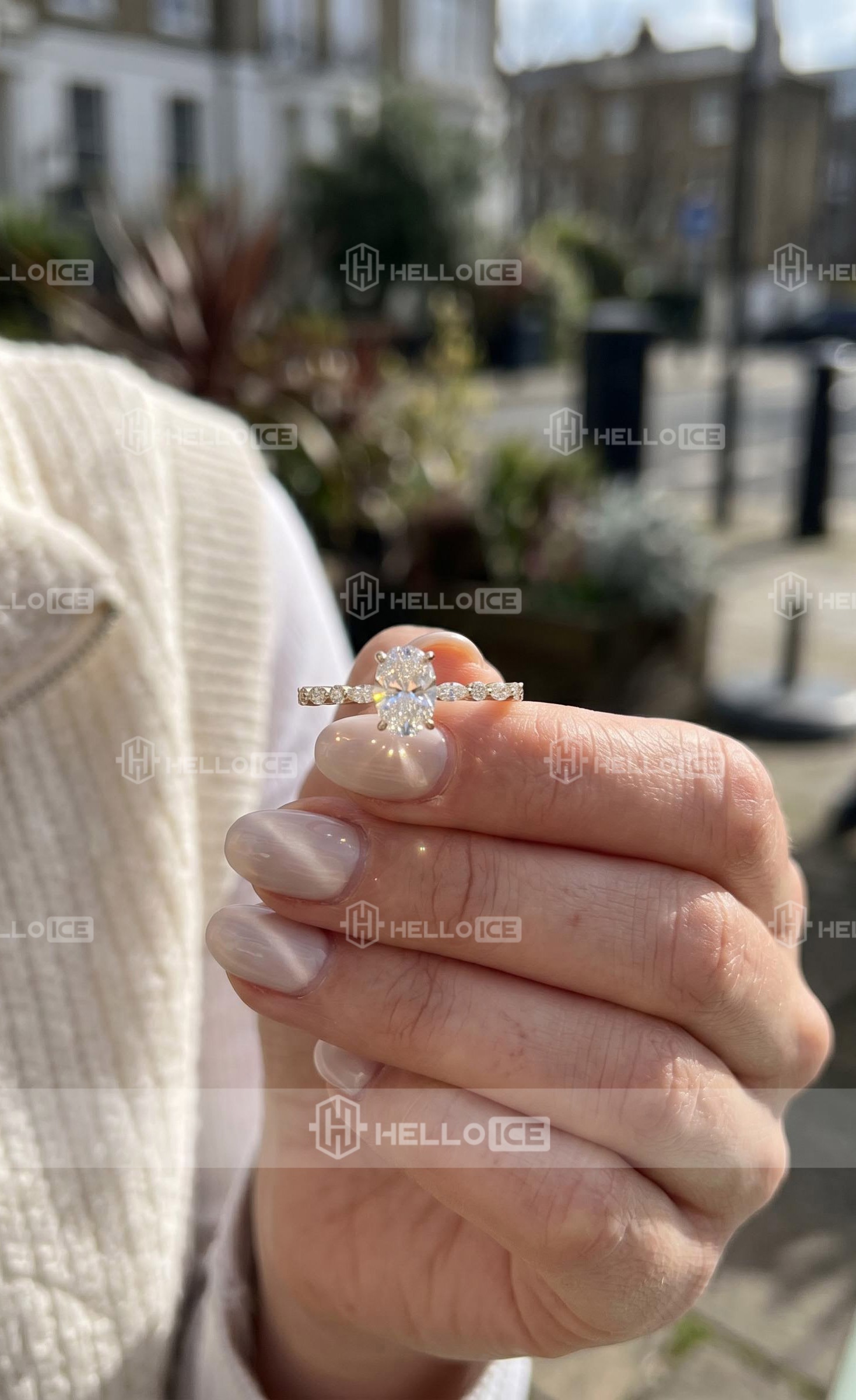 Helloice Review Image