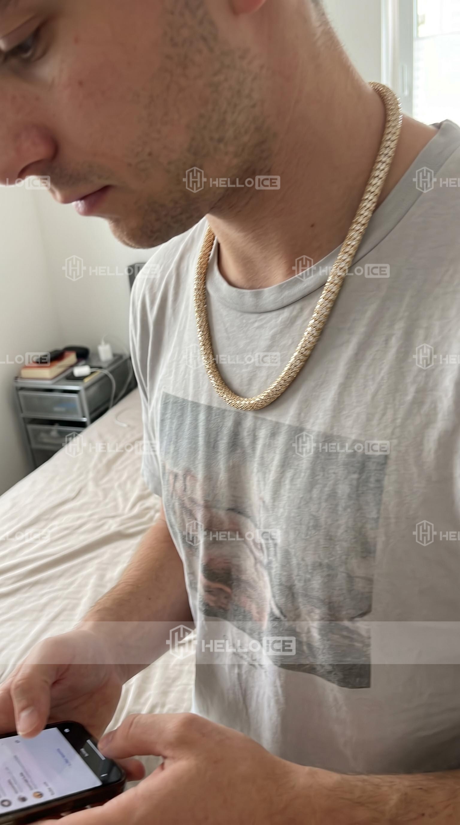Helloice Review Image