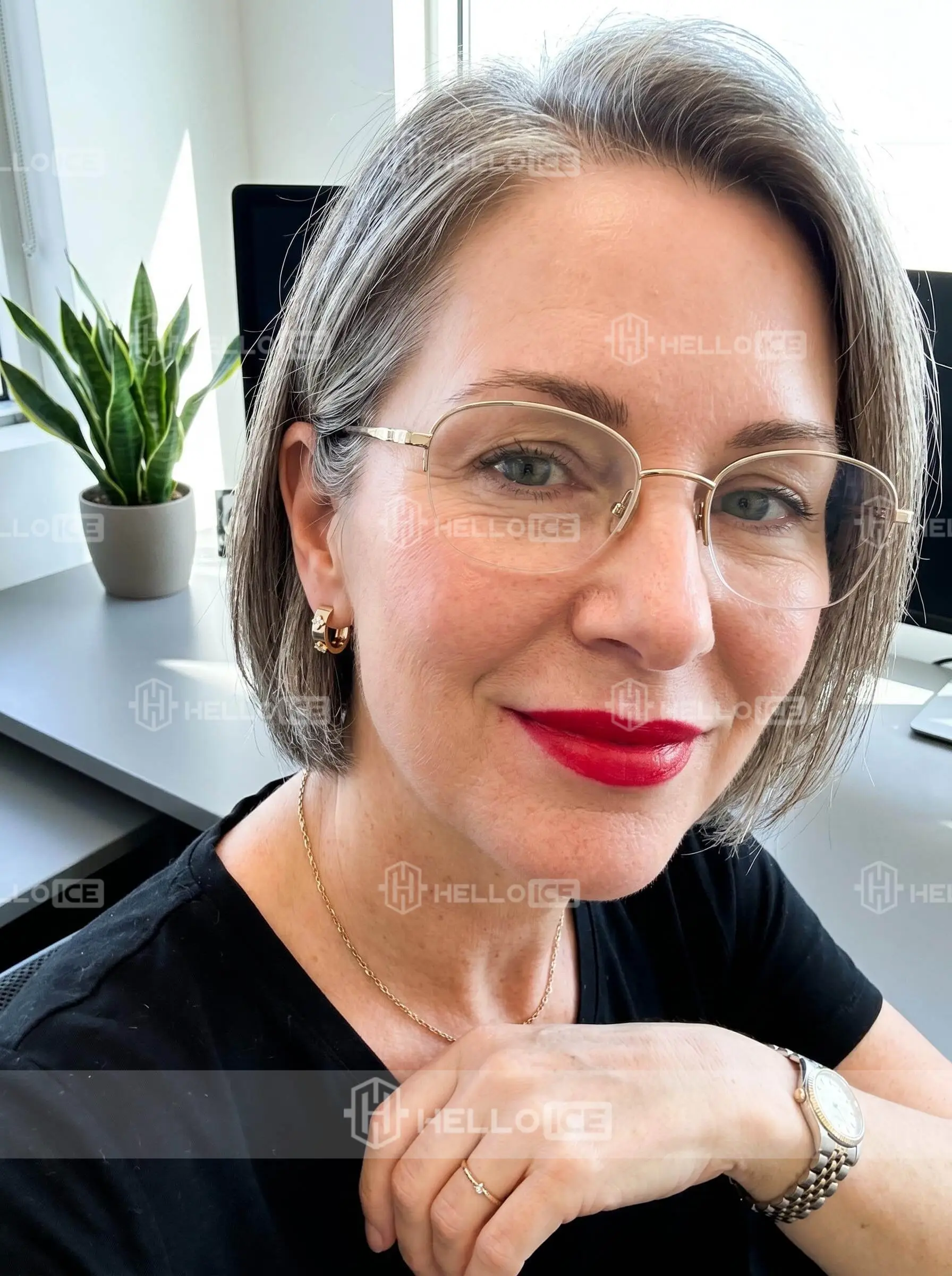 Helloice Review Image