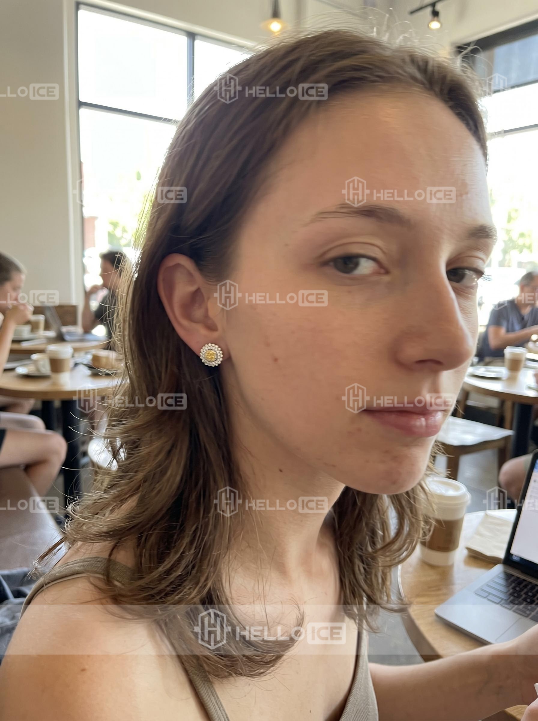 Helloice Review Image