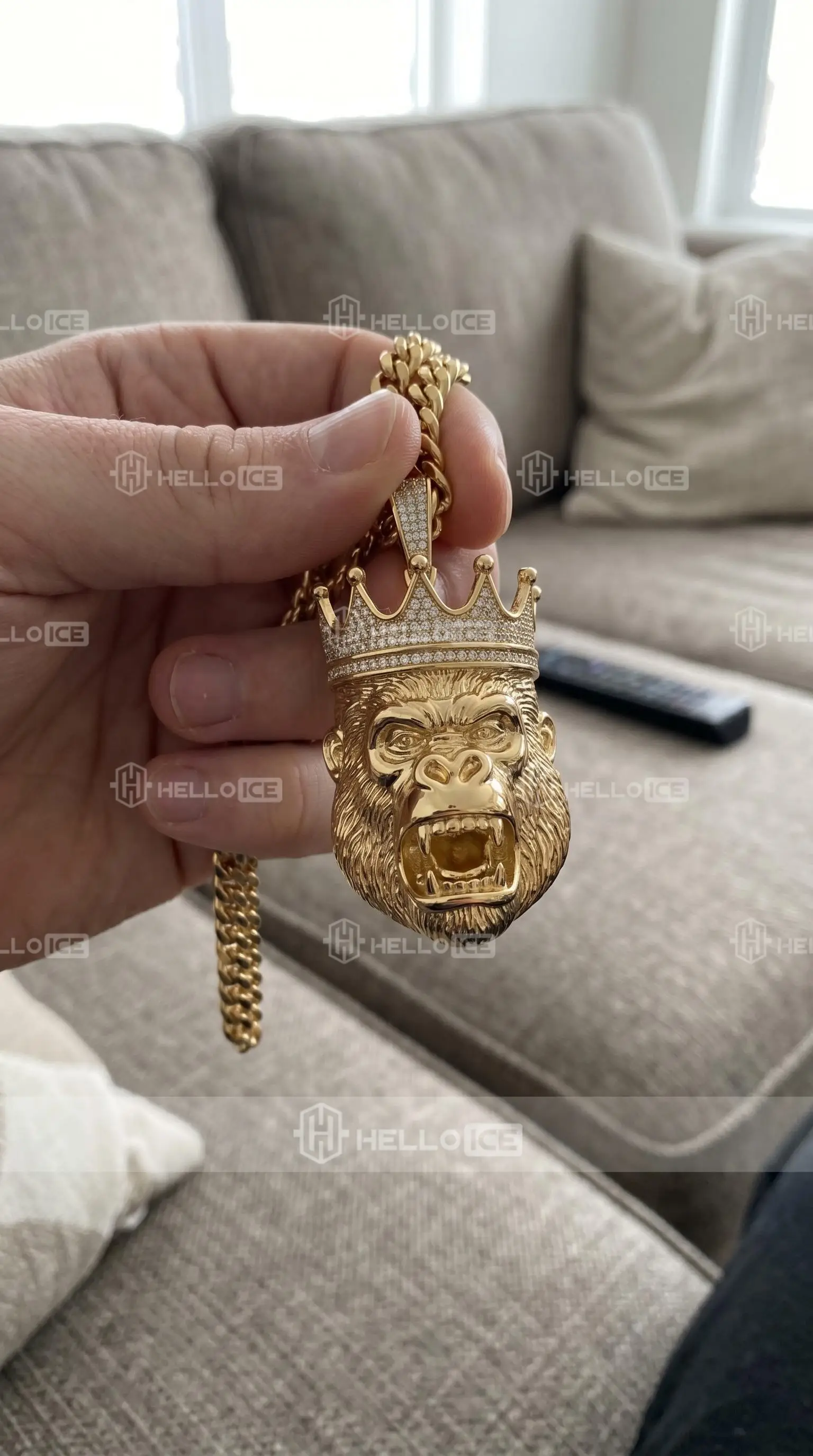 Helloice Review Image