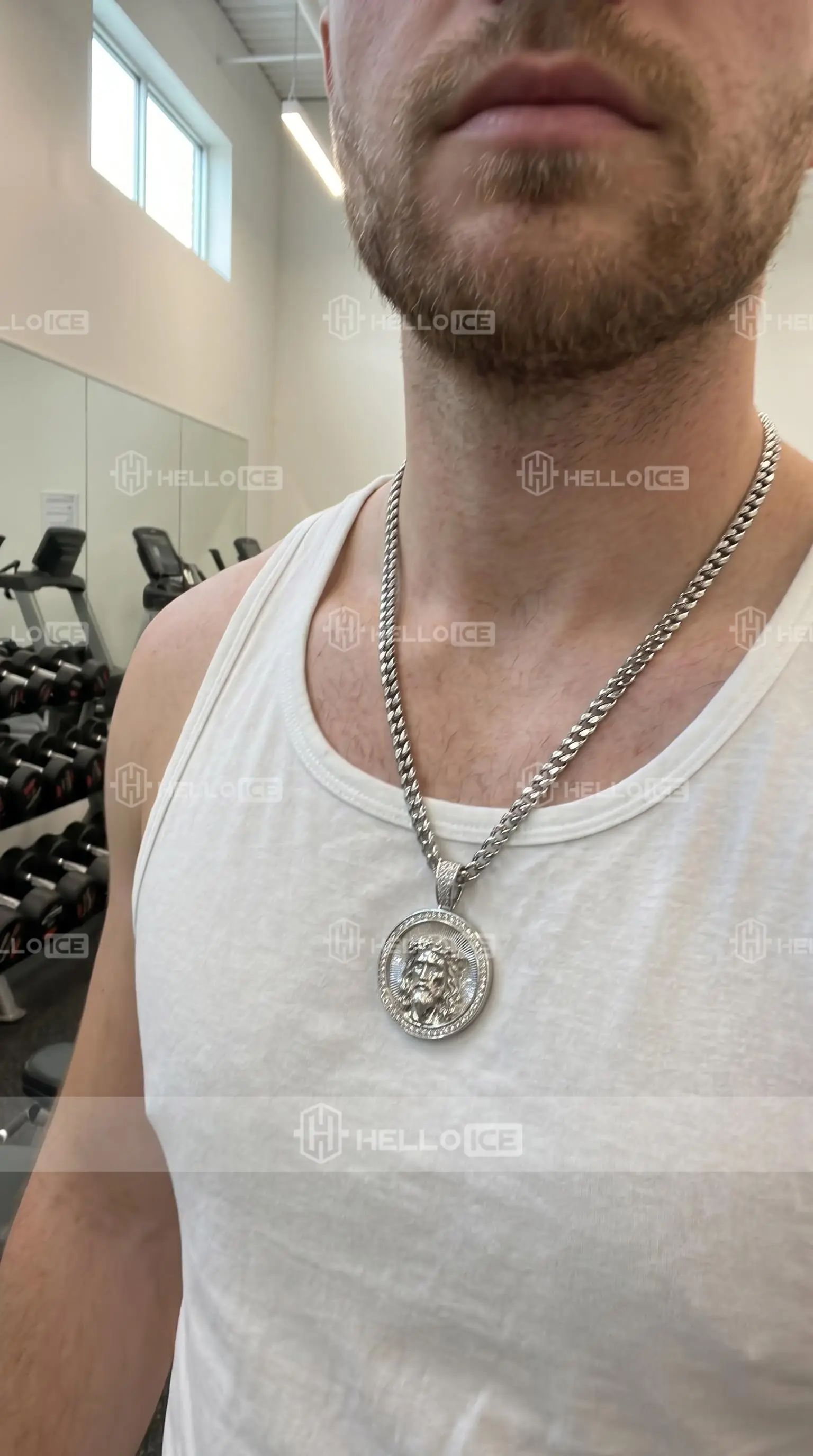 Helloice Review Image