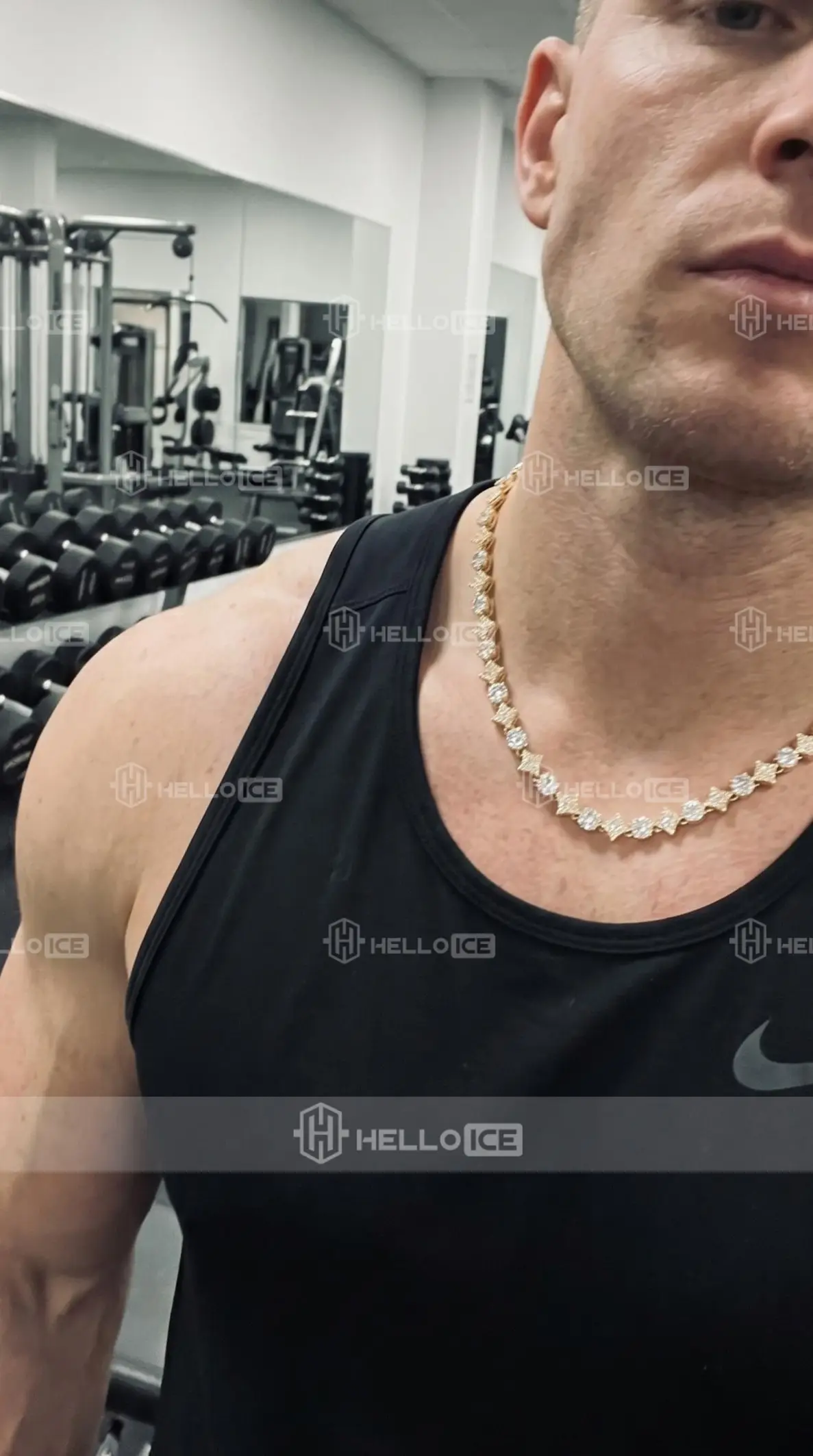 Helloice Review Image