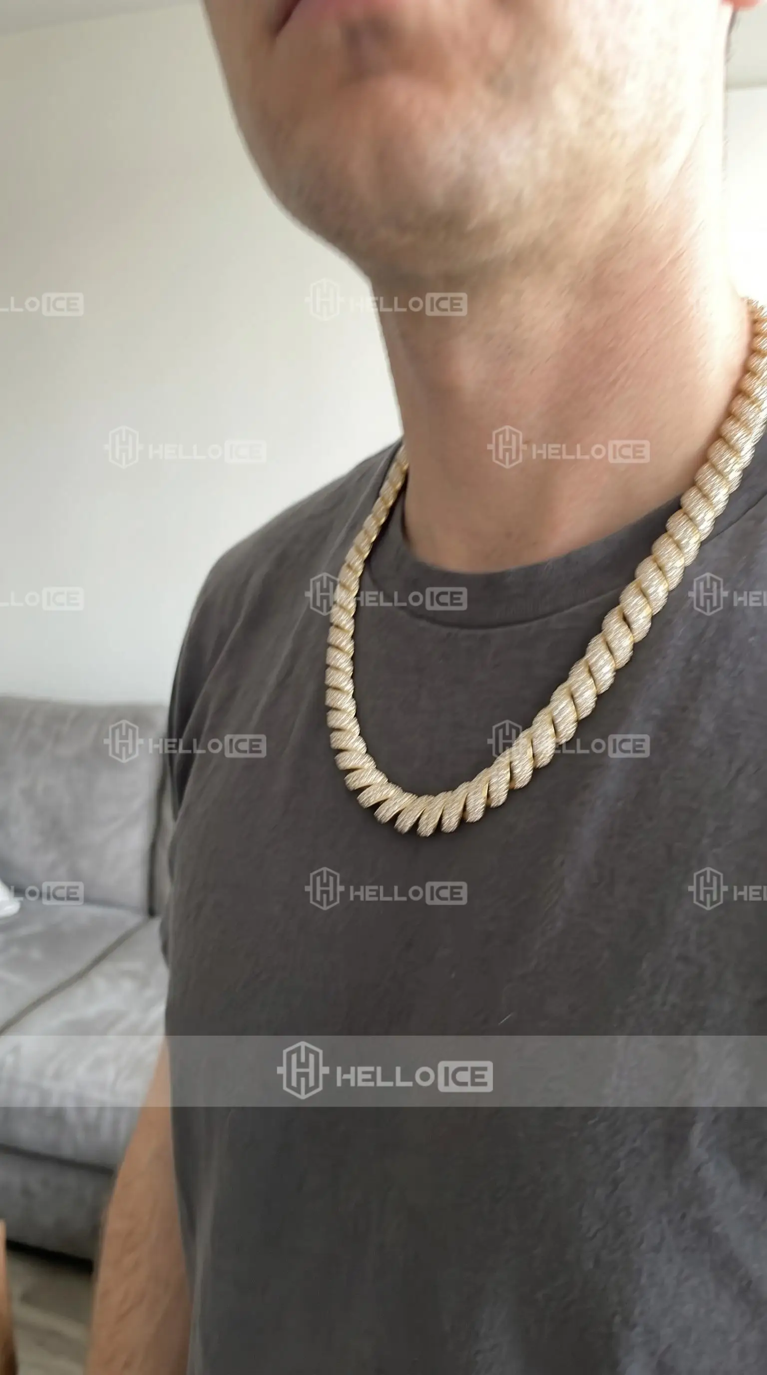 Helloice Review Image