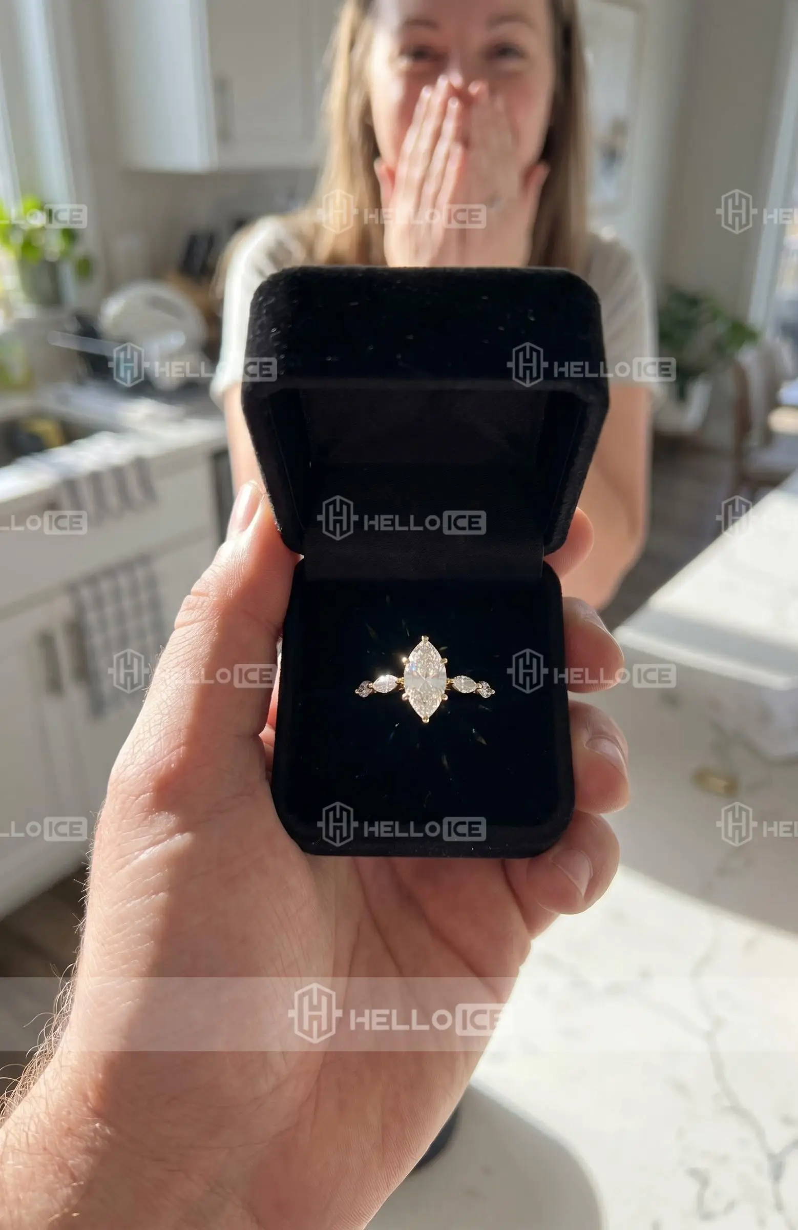 Helloice Review Image