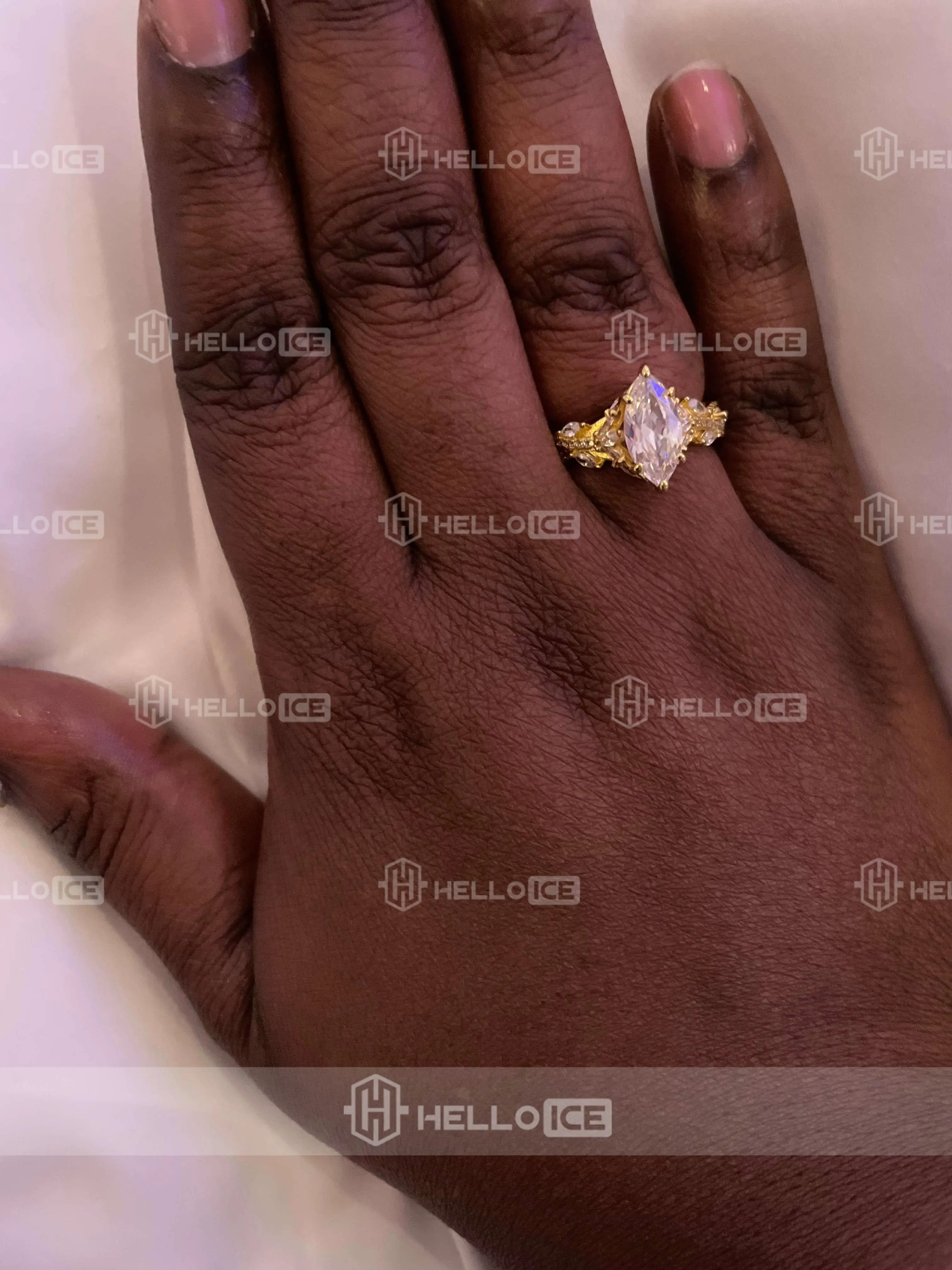 Helloice Review Image