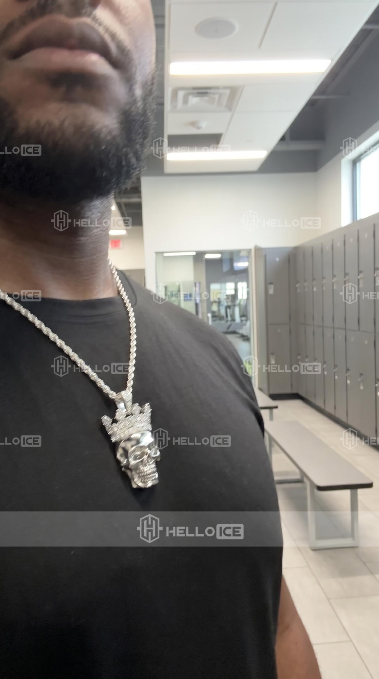 Helloice Review Image