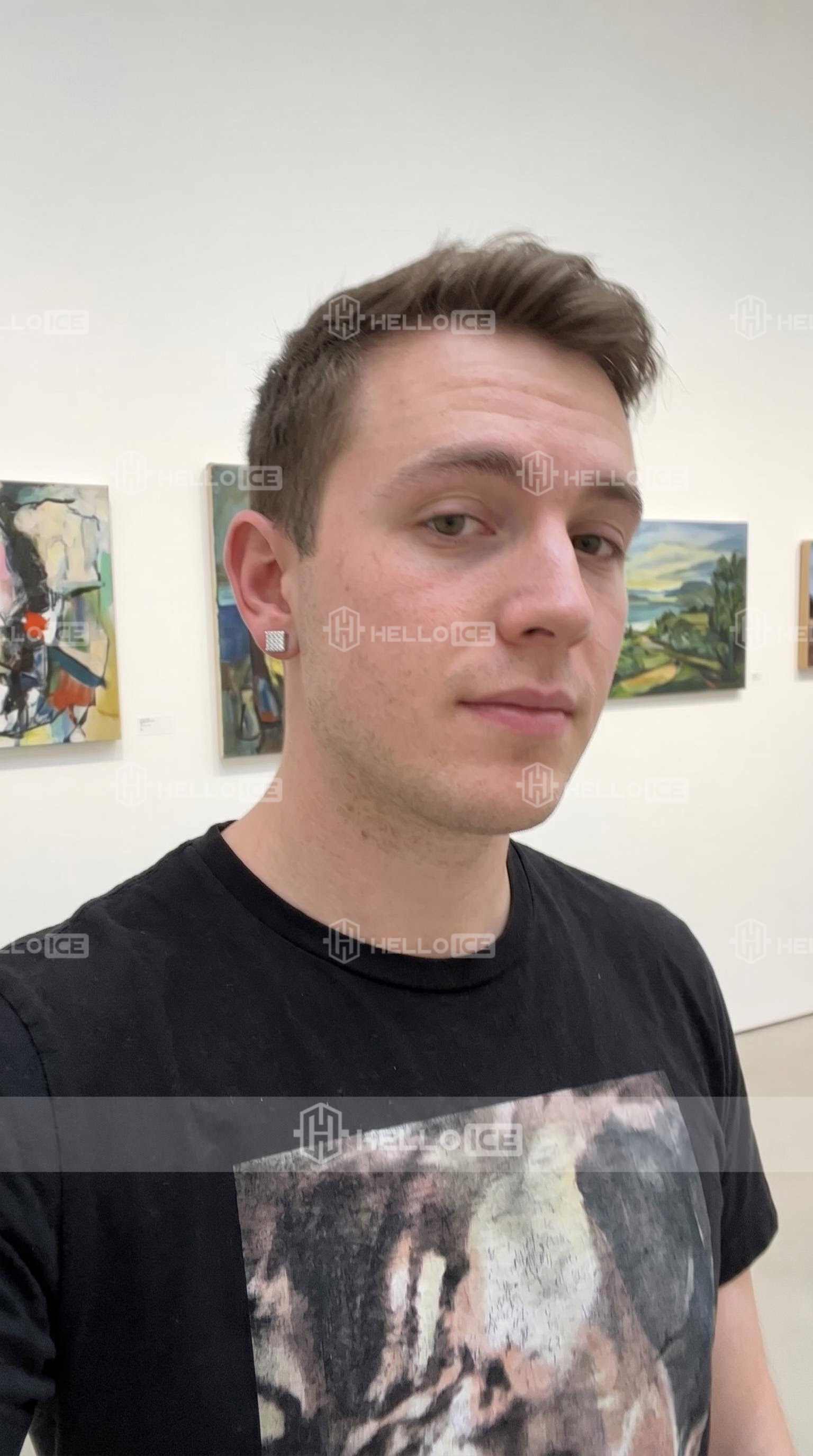 Helloice Review Image