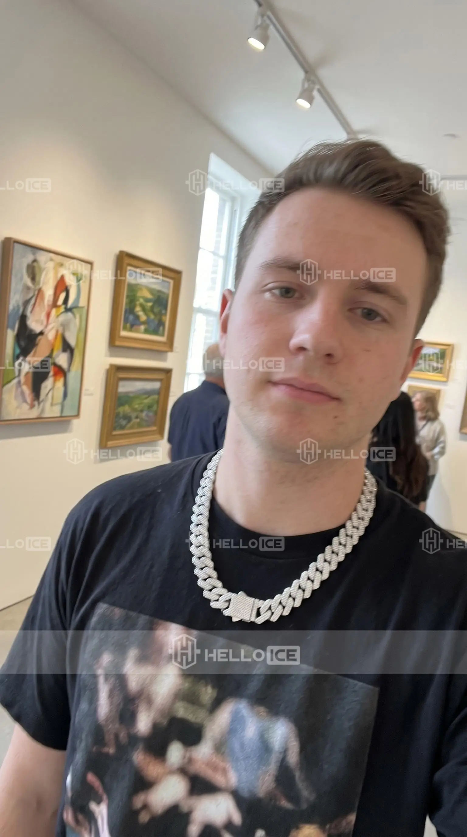 Helloice Review Image