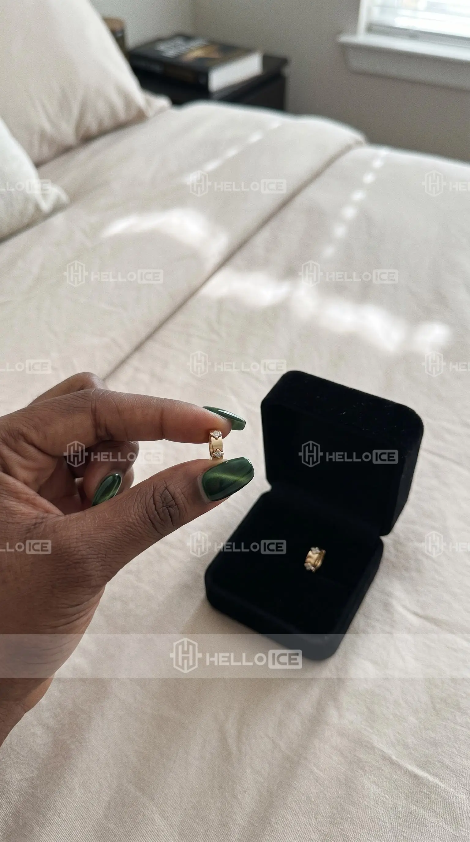 Helloice Review Image