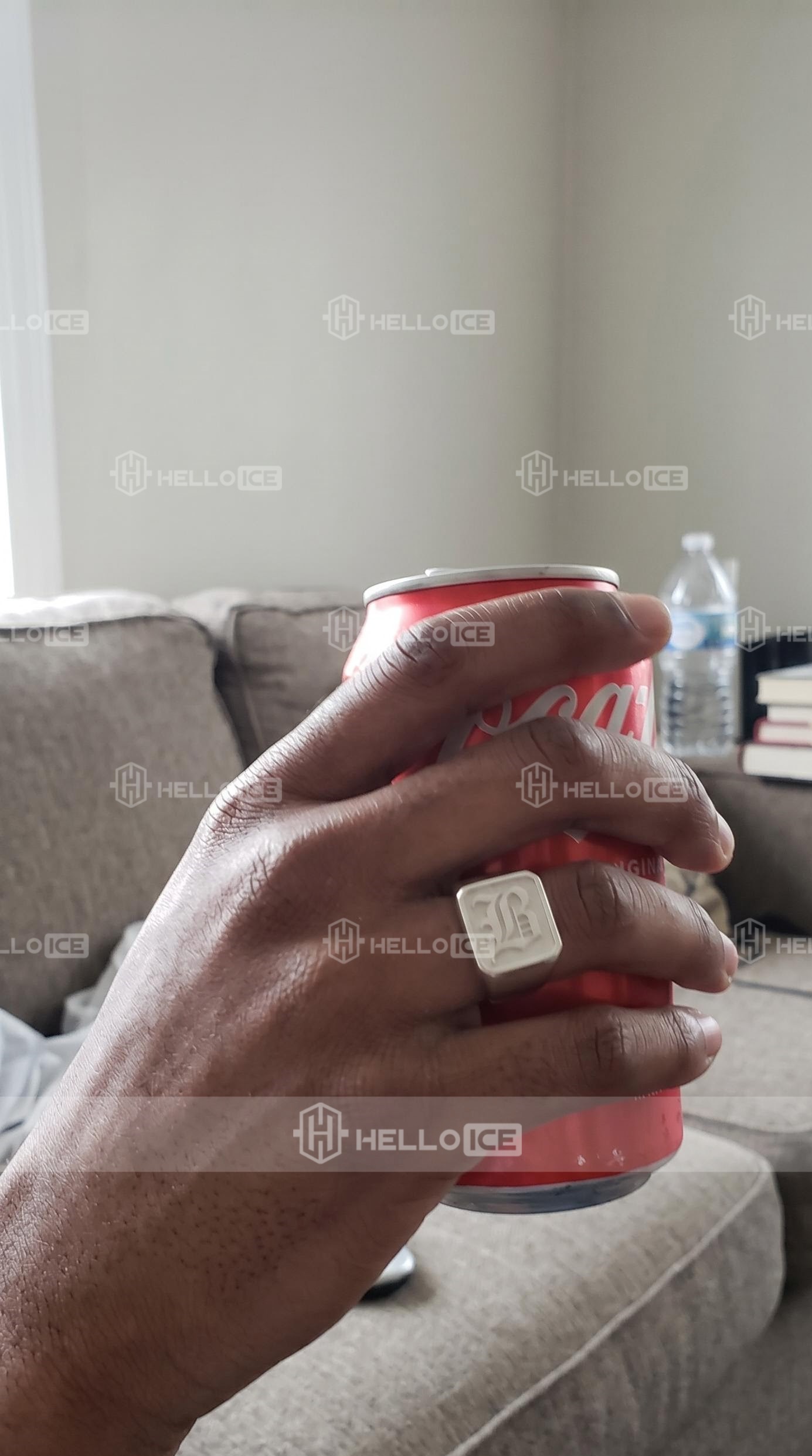 Helloice Review Image