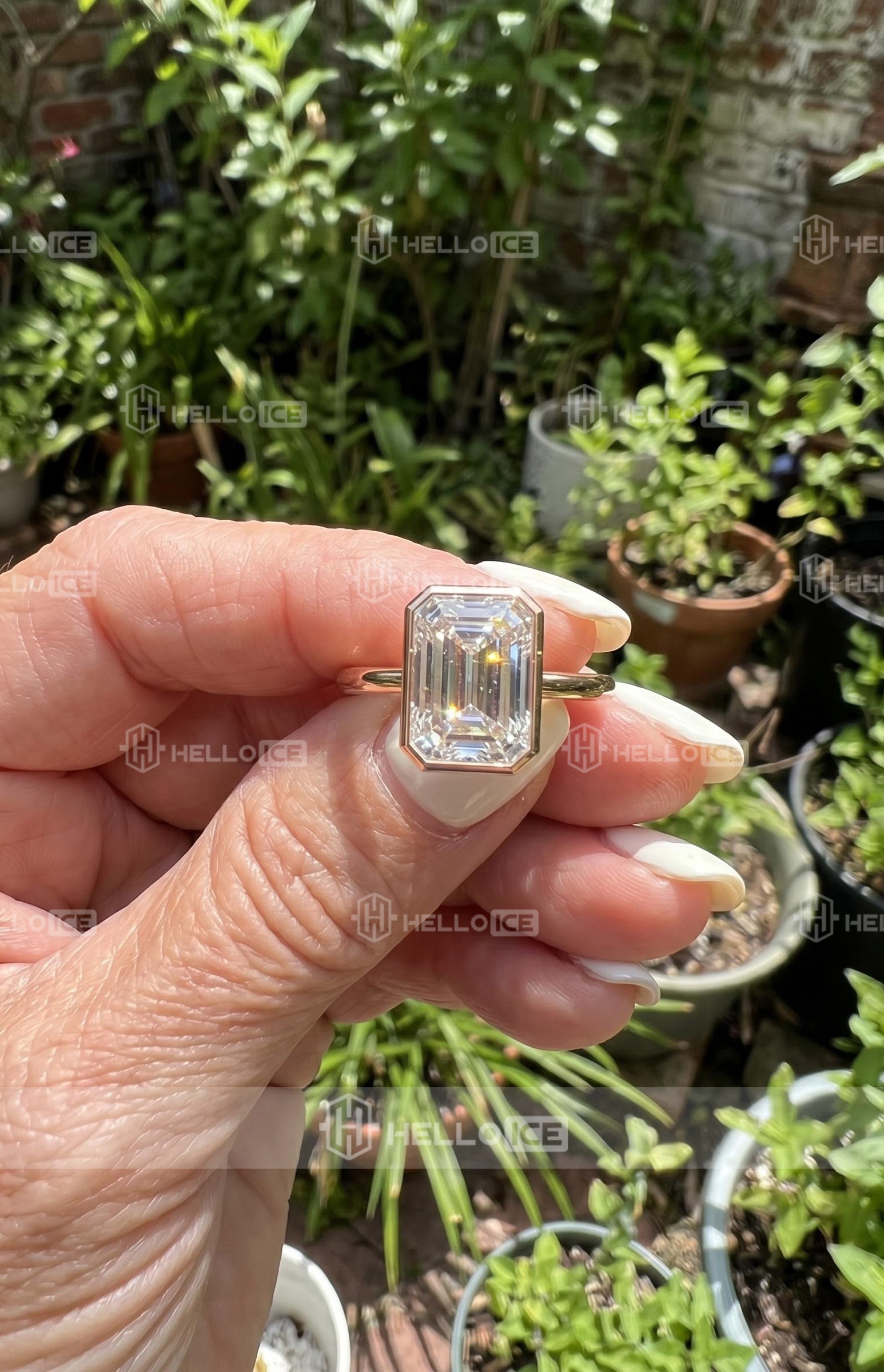 Helloice Review Image