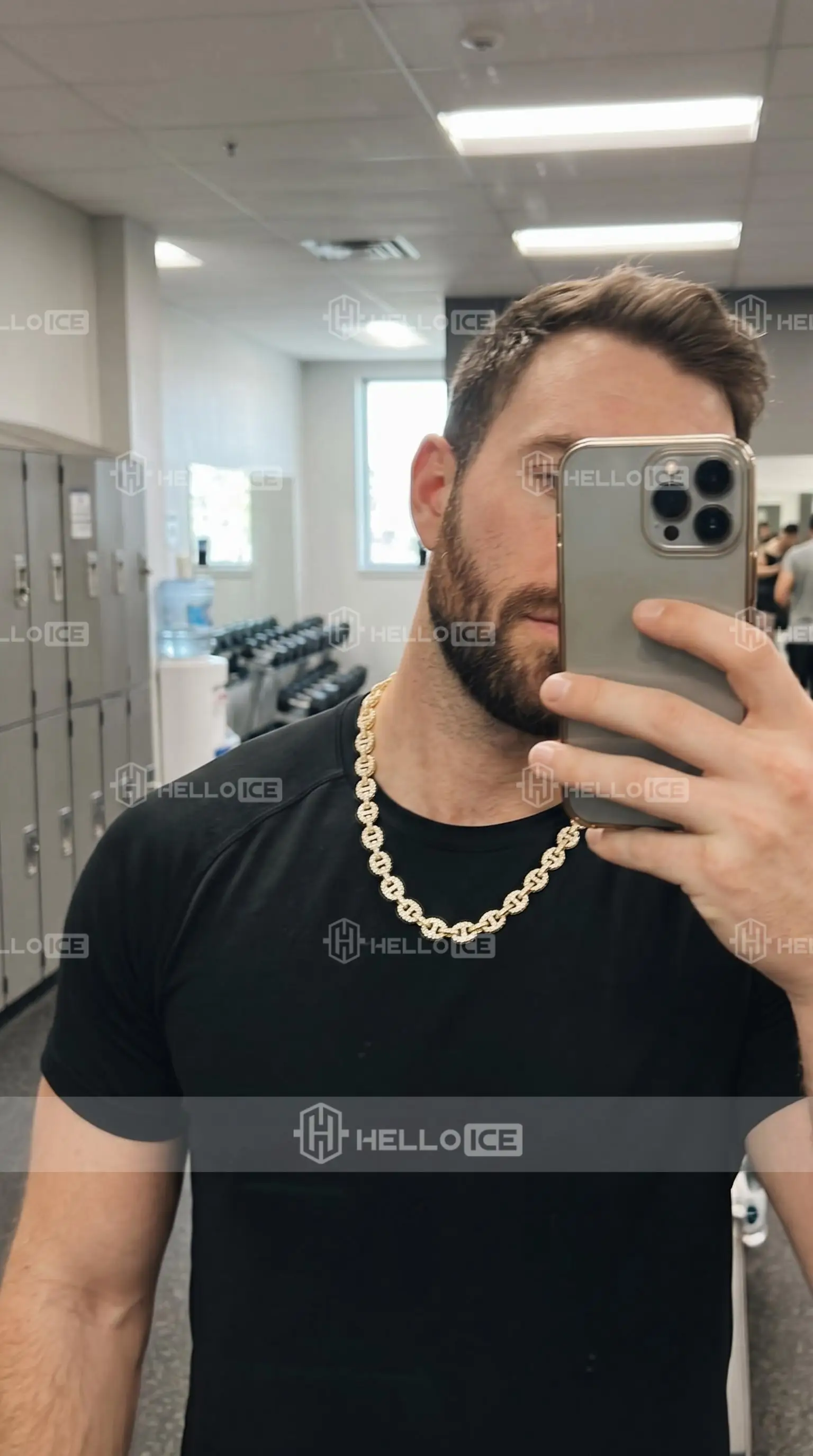 Helloice Review Image