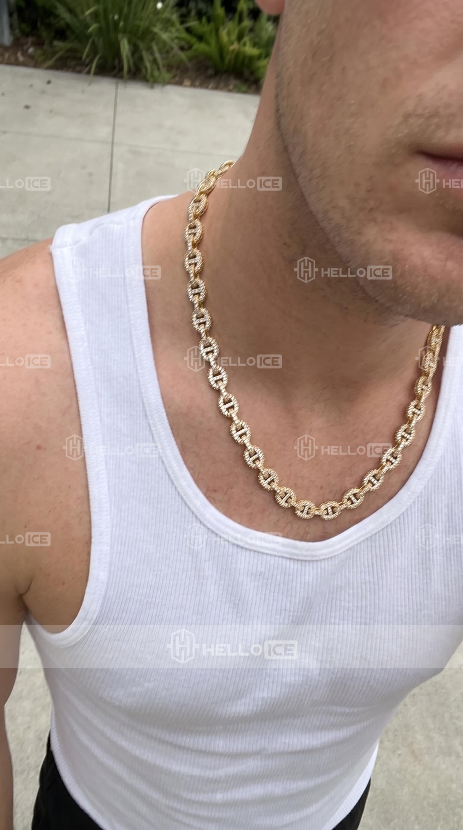 Helloice Review Image