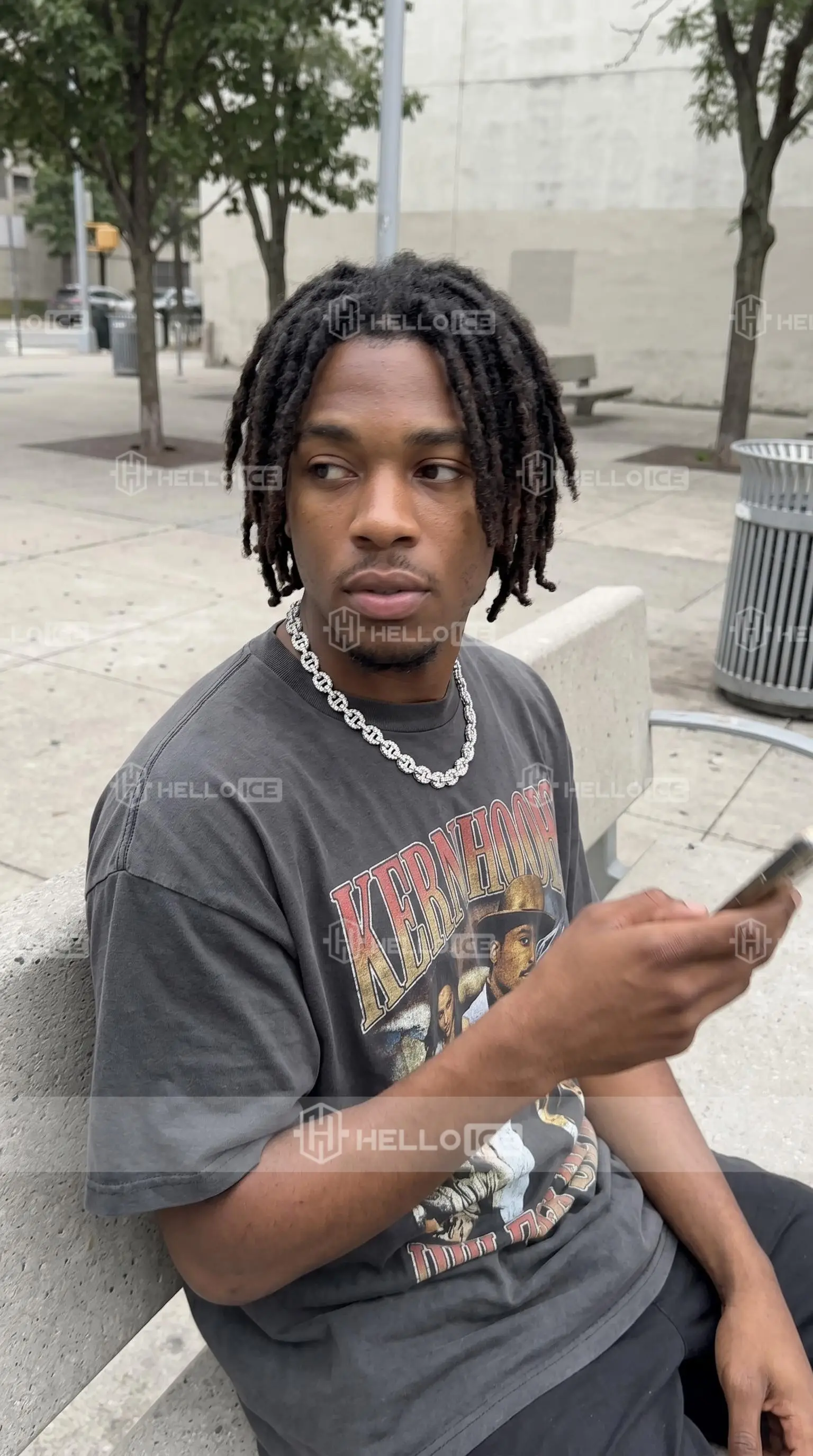 Helloice Review Image