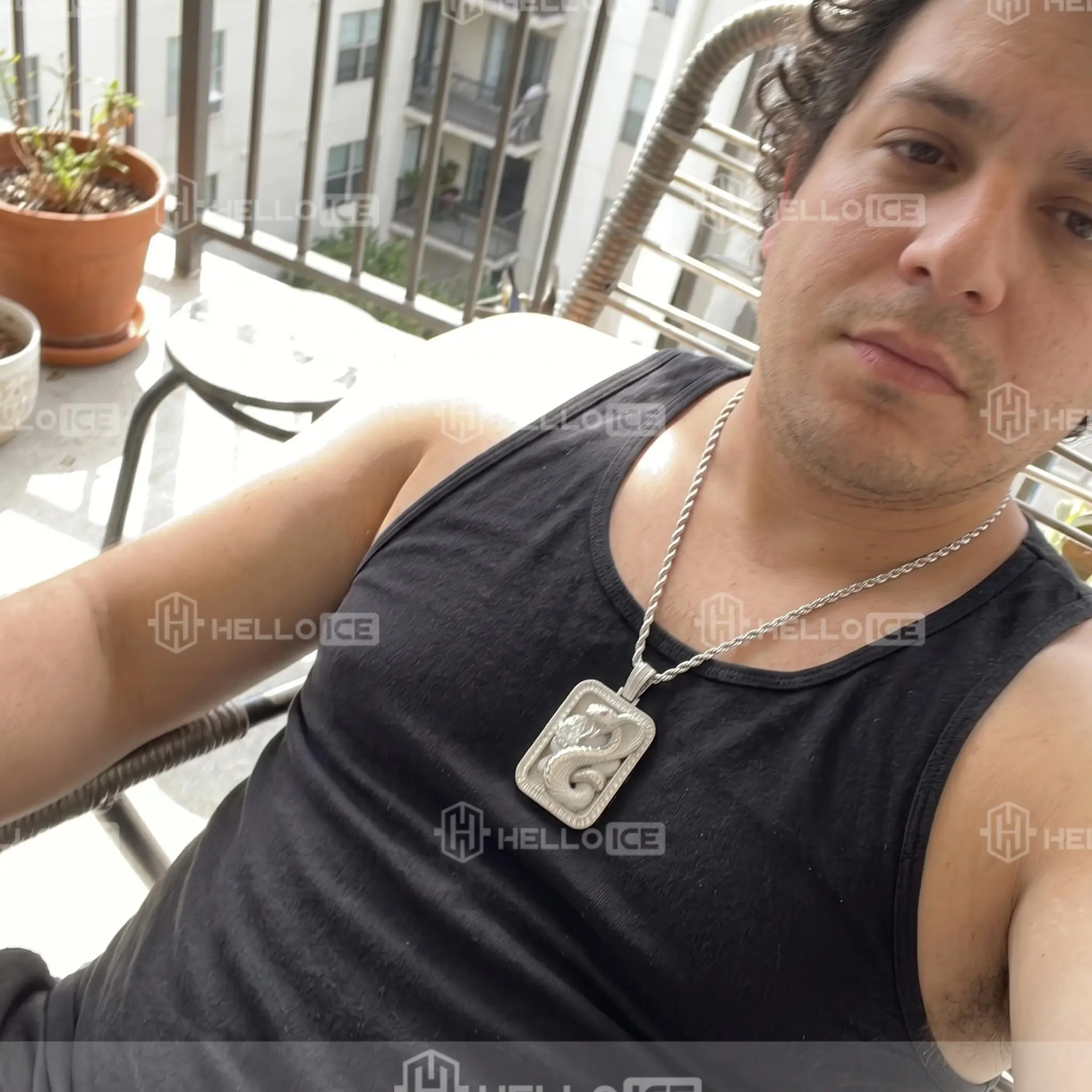 Helloice Review Image