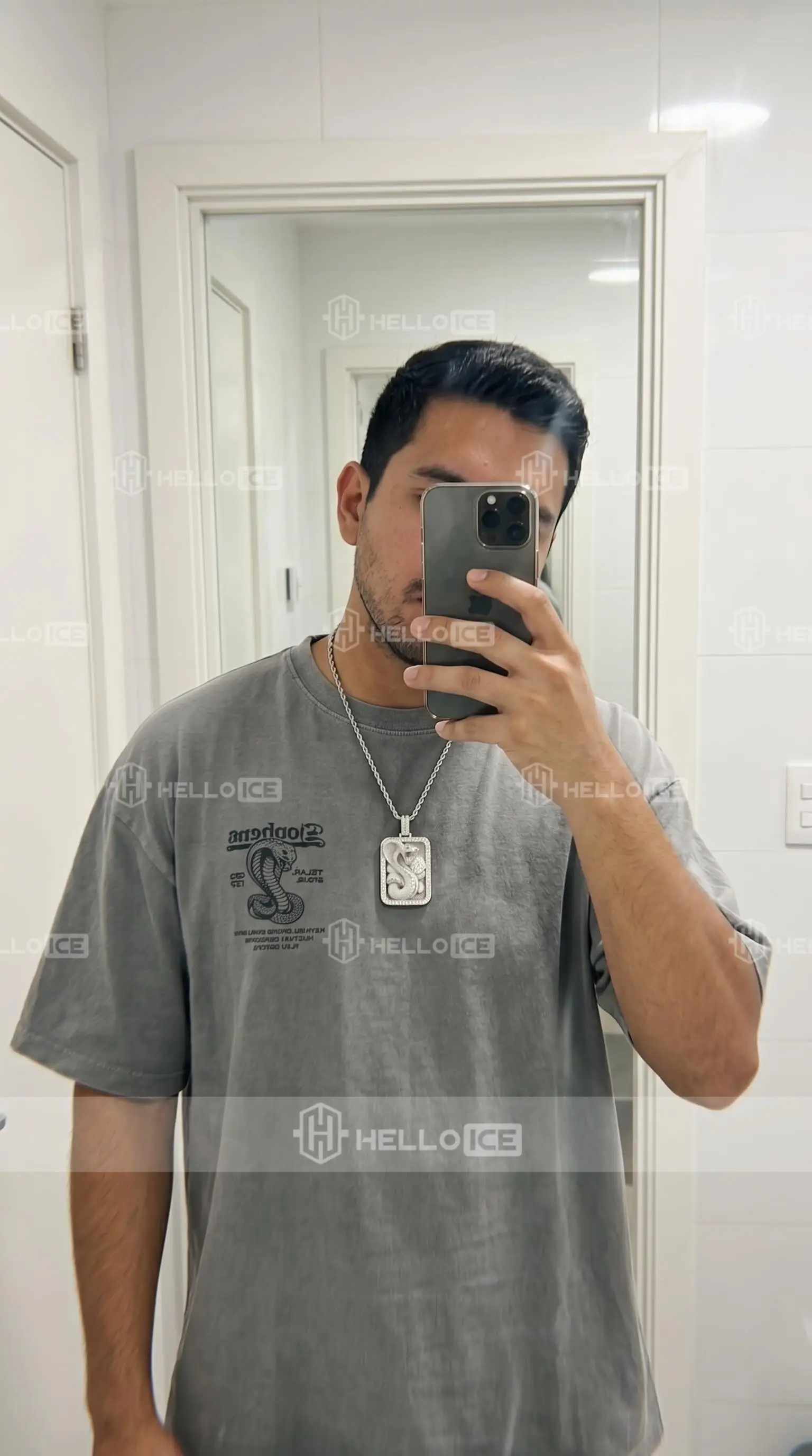 Helloice Review Image