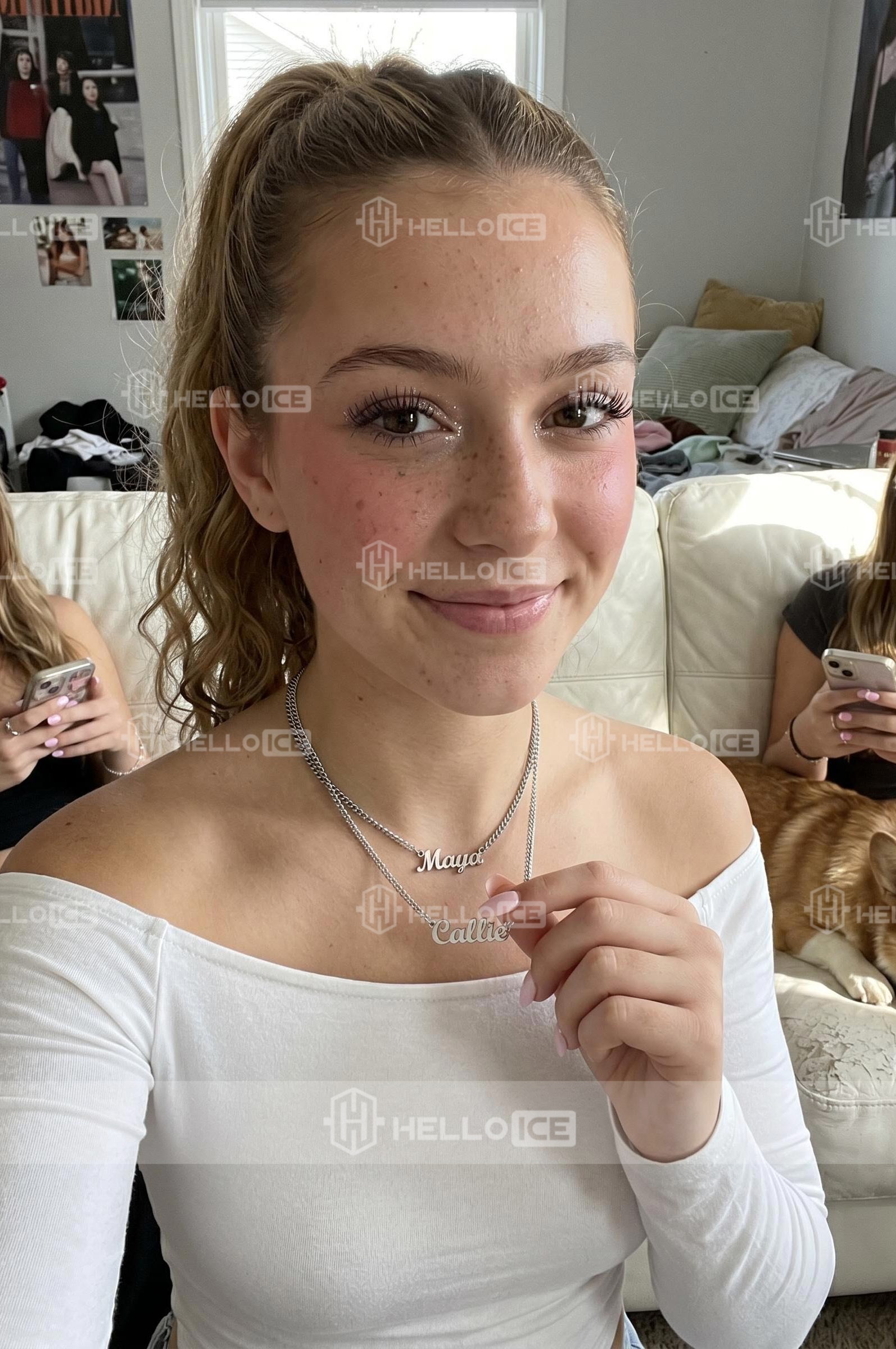 Helloice Review Image