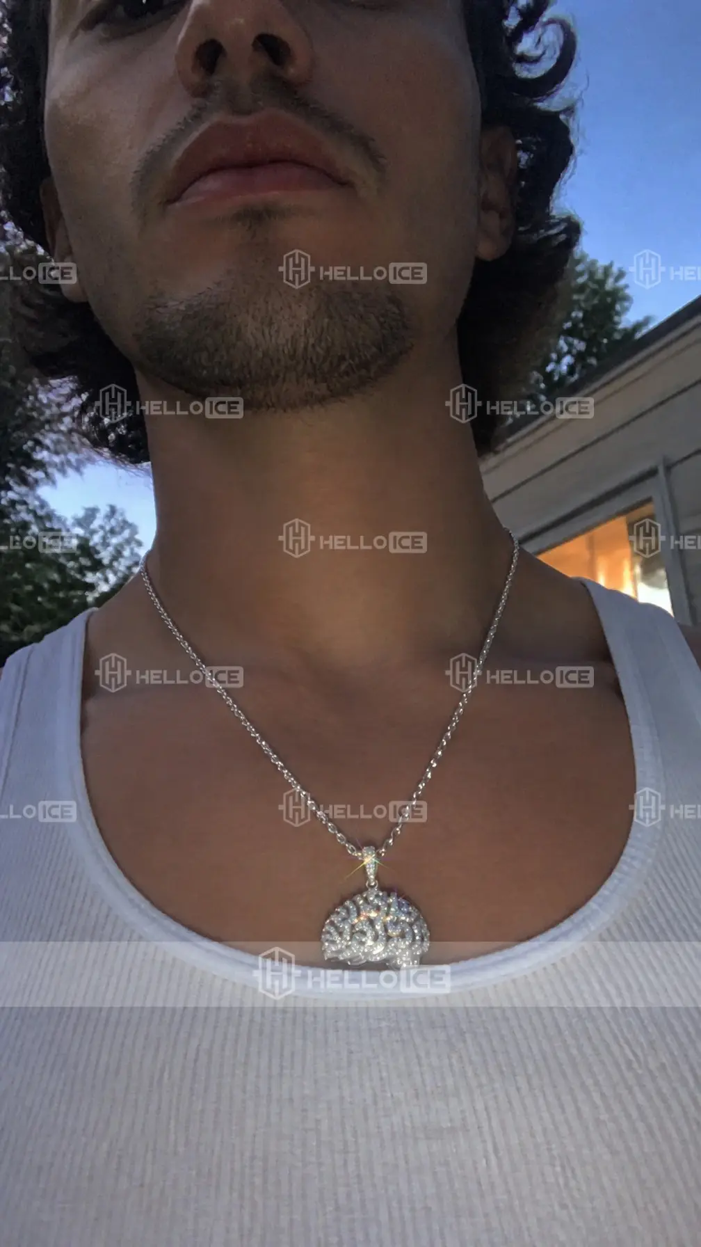 Helloice Review Image