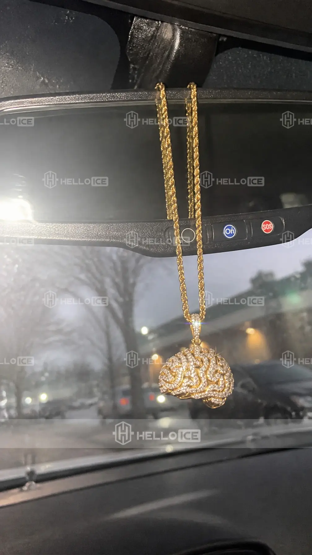 Helloice Review Image