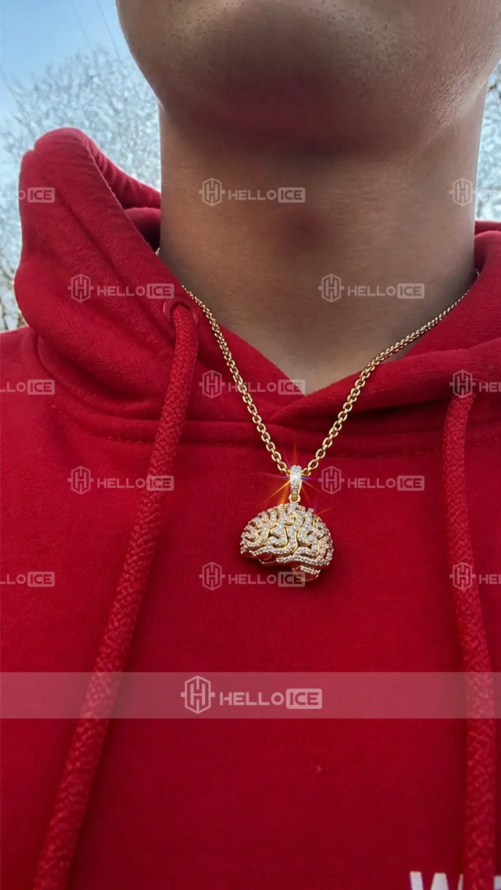 Helloice Review Image