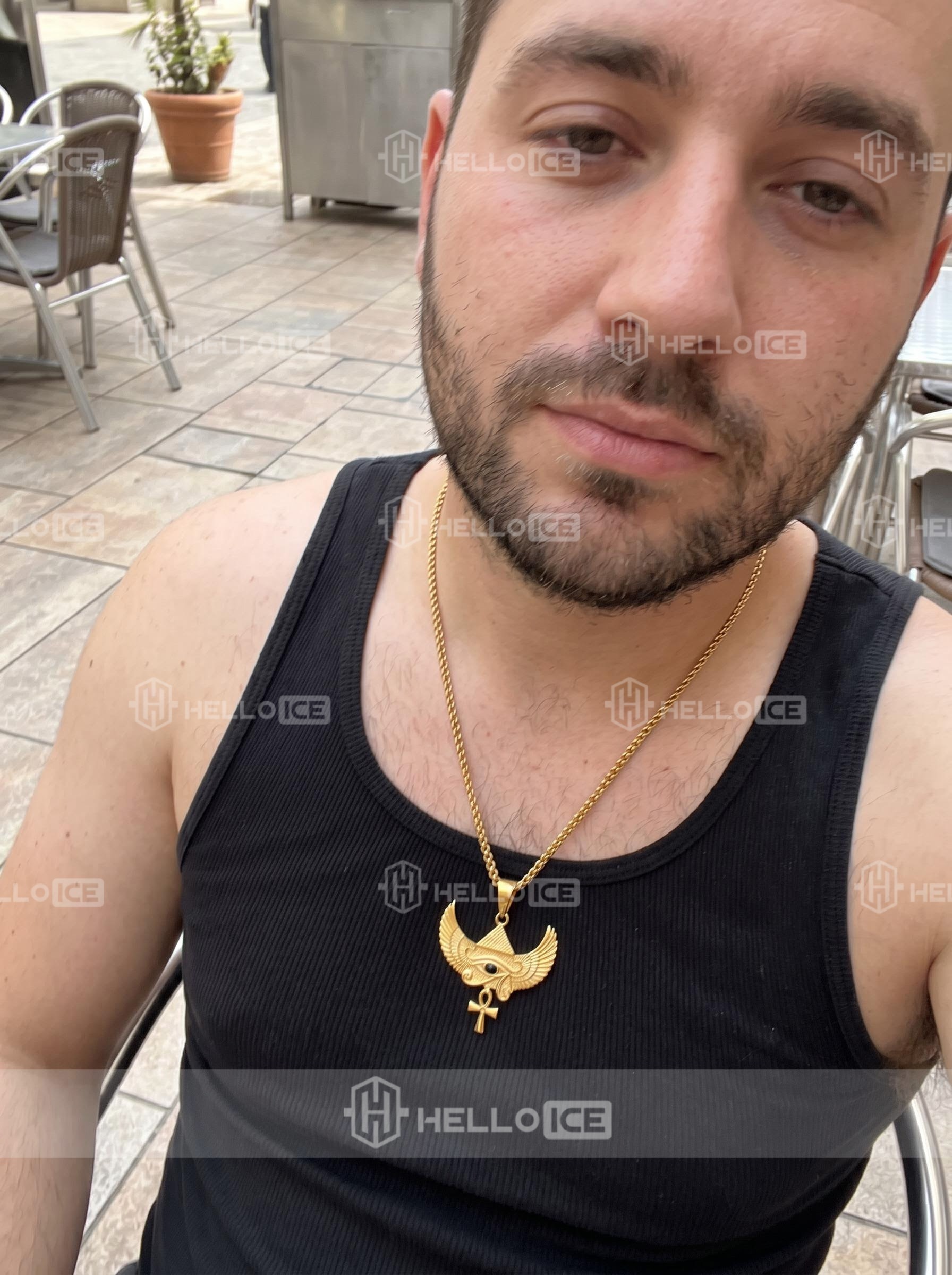 Helloice Review Image