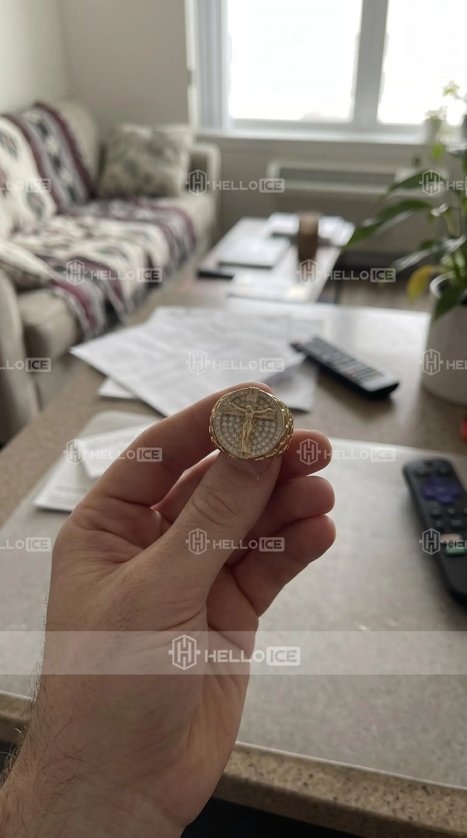 Helloice Review Image